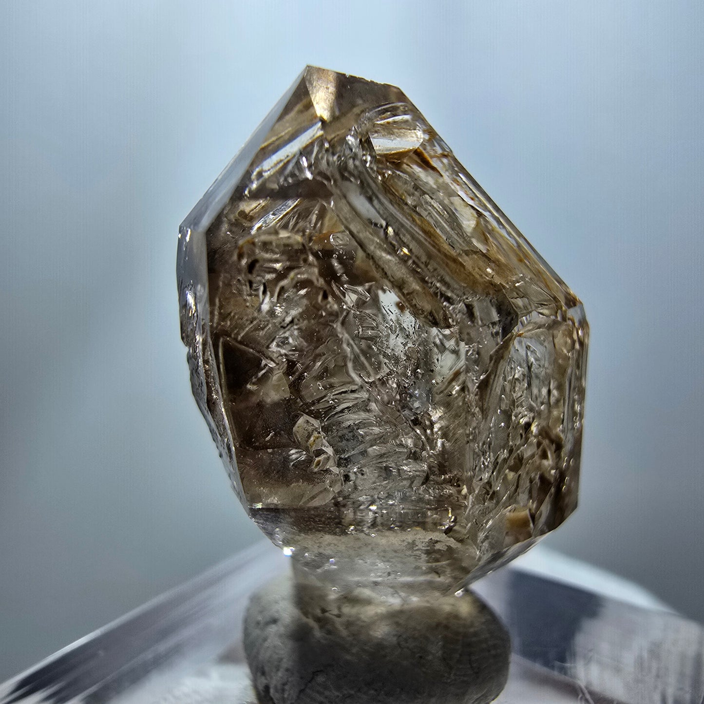 Phantom Rauchquarz DT Skelett Zepter Kristall Goboboseb, Namibia 28*21*13mm
