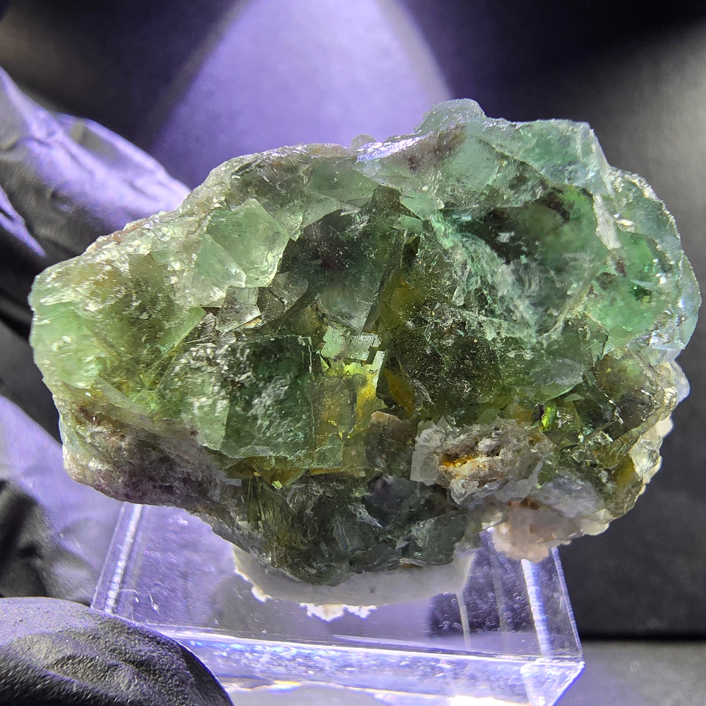 Seltene Fluorit XX Würfel Stufe grün mit Einschlüssen 36*28*13mm Okorusu Namibia