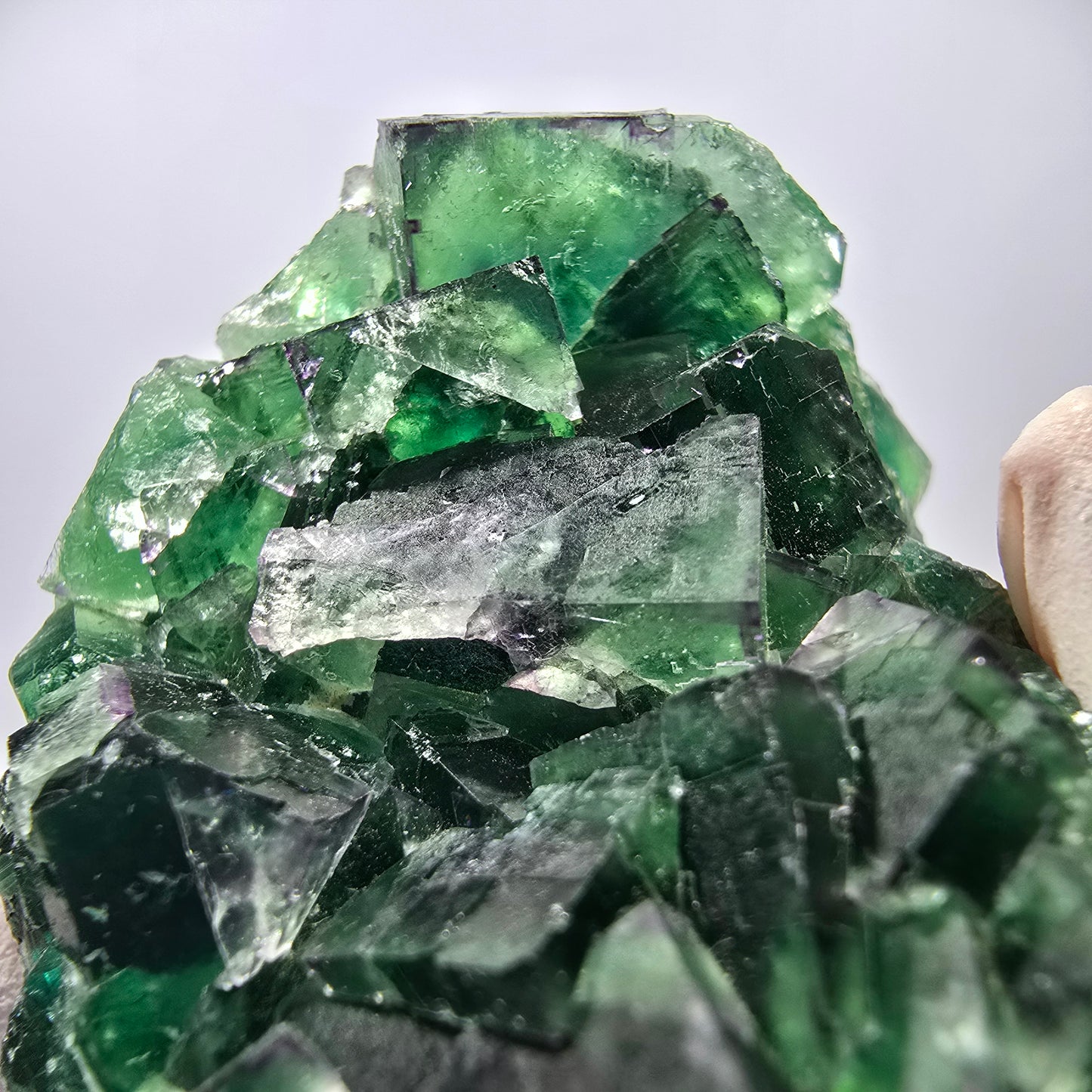 Spécimen de cube de fluorite fantôme parqueté vert violet Okorusu, Namibie 62*44*26mm