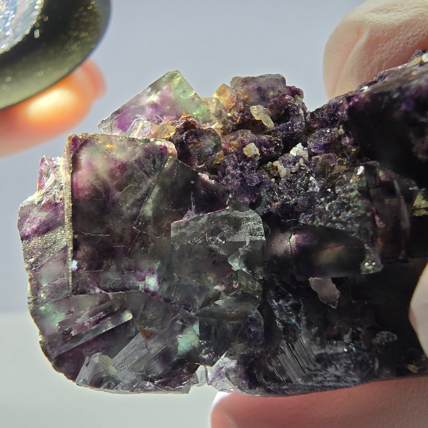 Spécimen de cube de fluorite fantôme parqueté vert violet Okorusu, Namibie 49*27*17mm