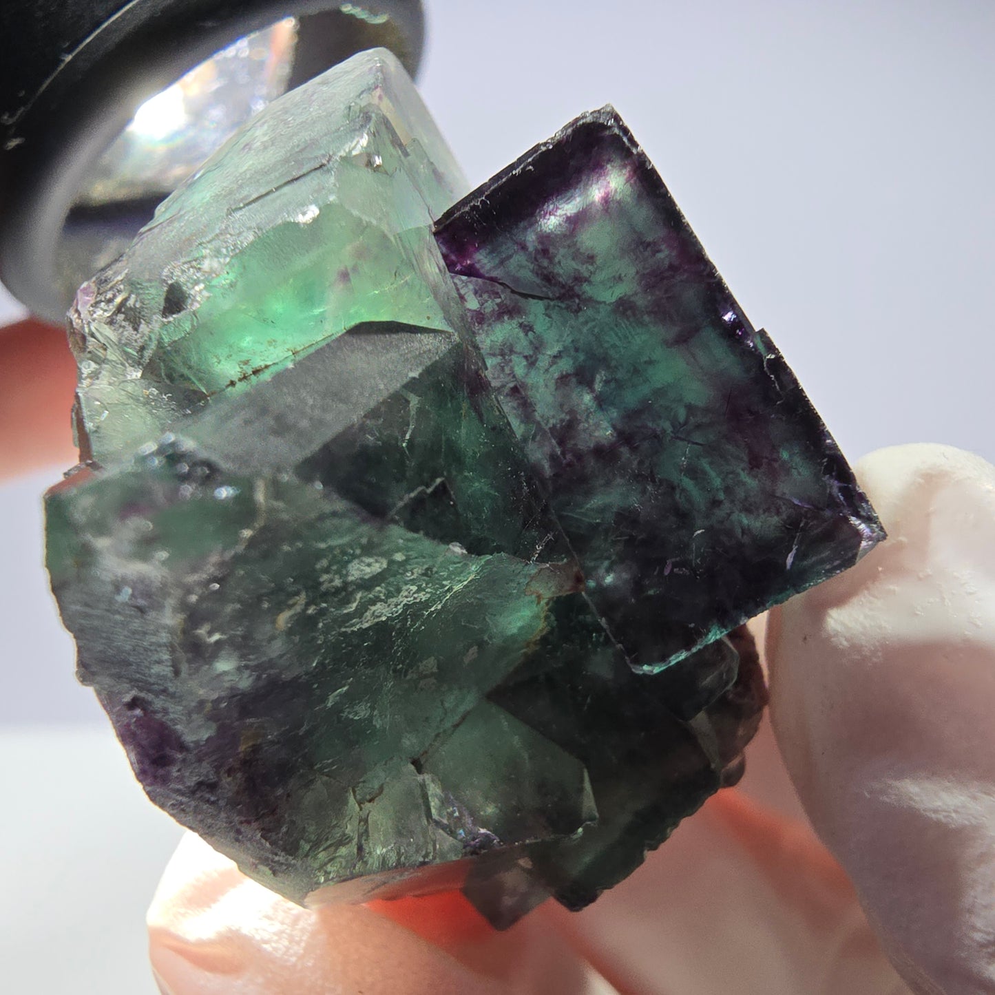 Spécimen de cube de fluorite fantôme parqueté vert violet Okorusu, Namibie 32*31*24 mm