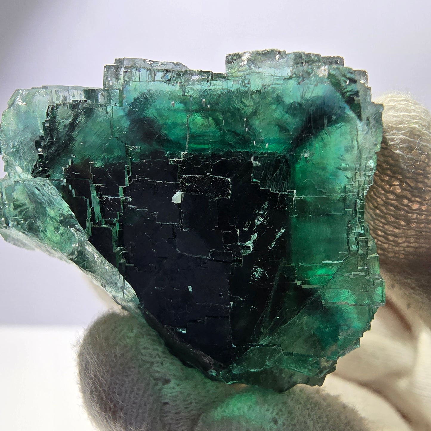 Rare spécimen de cube de fluorite fantôme, parqueté vert Okorusu, Namibie, 37 x 35 x 32 mm