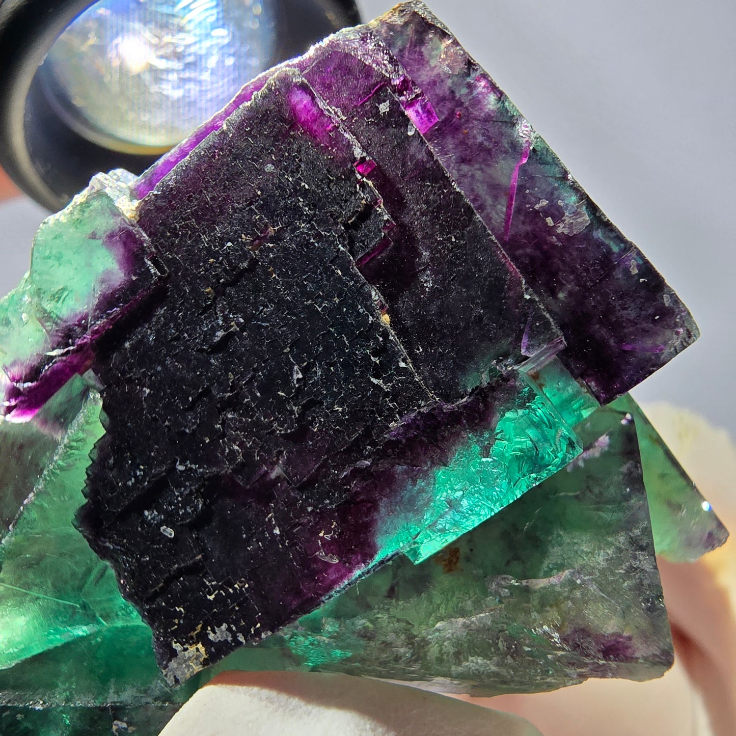 Spécimen de cube de fluorite fantôme, parqueté vert violet Okorusu, Namibie 59*41*24 mm