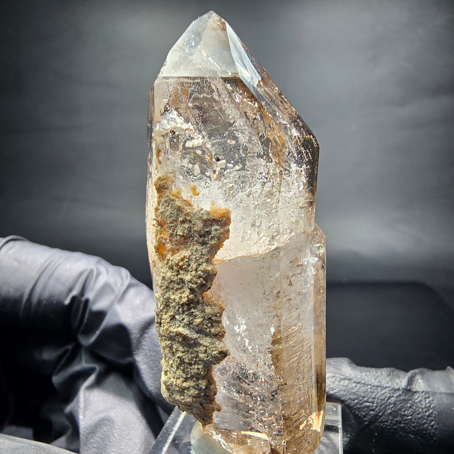 Points à double terminaison en quartz fumé fantôme clair Goboboseb namibie 62*25*19mm