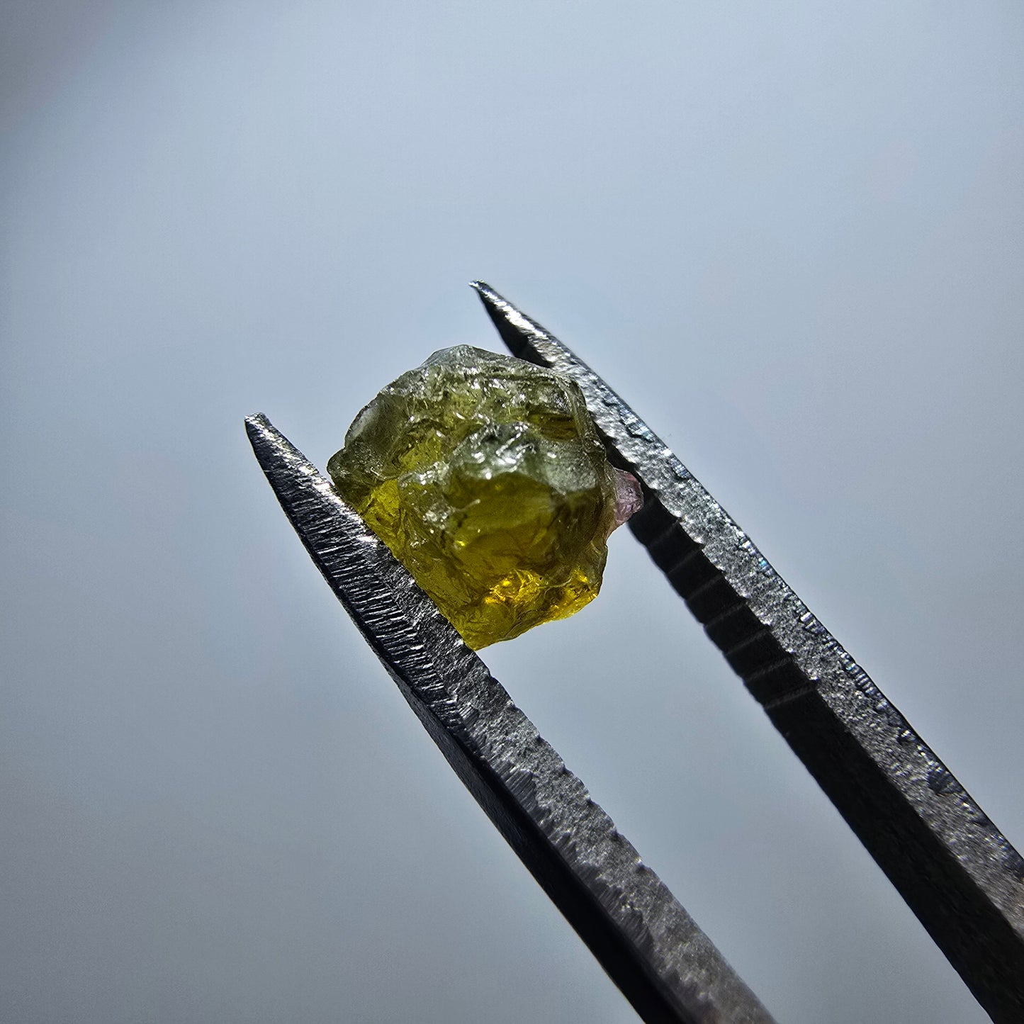 Cristal de tourmaline verdélite rare, vert Minas Gerais, Brésil #7991