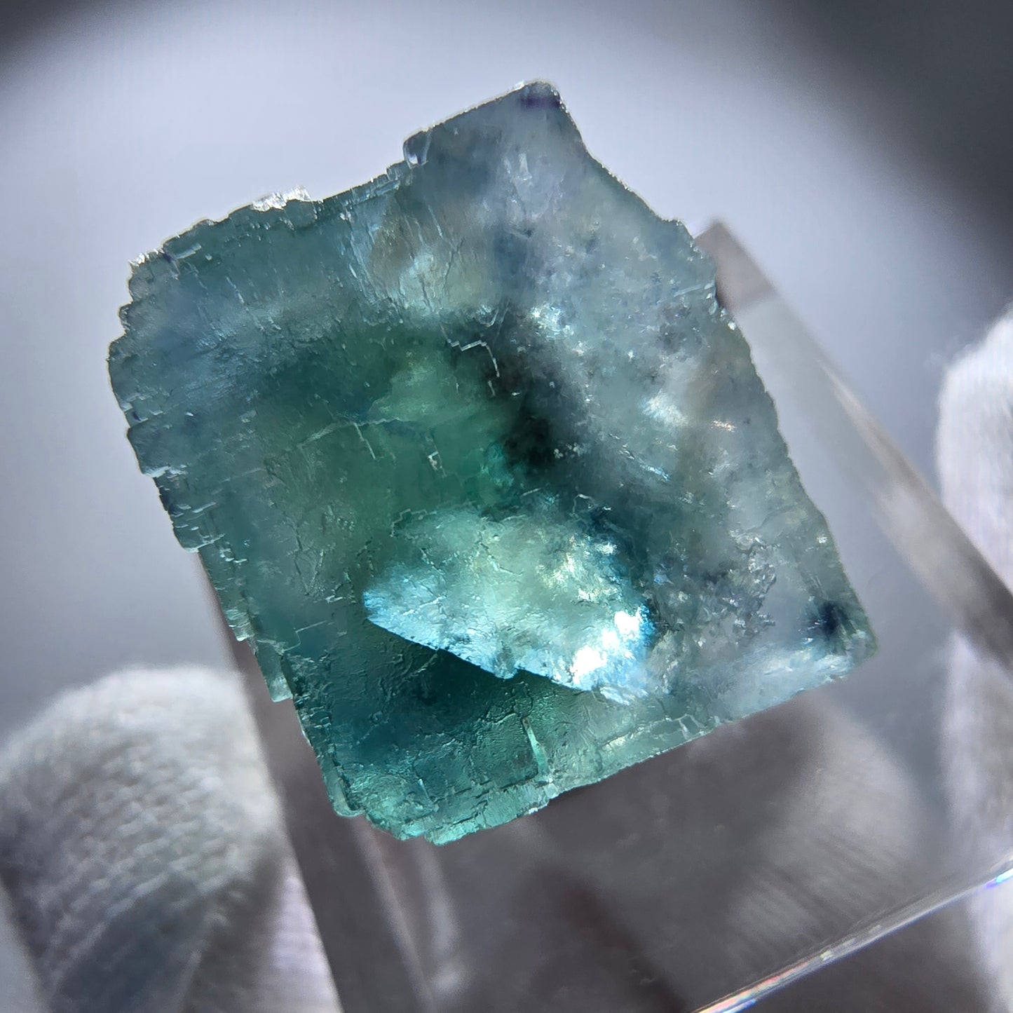 Rare spécimen de cube de fluorite fantôme, vert Okorusu, Namibie 24 x 23 x 17 mm