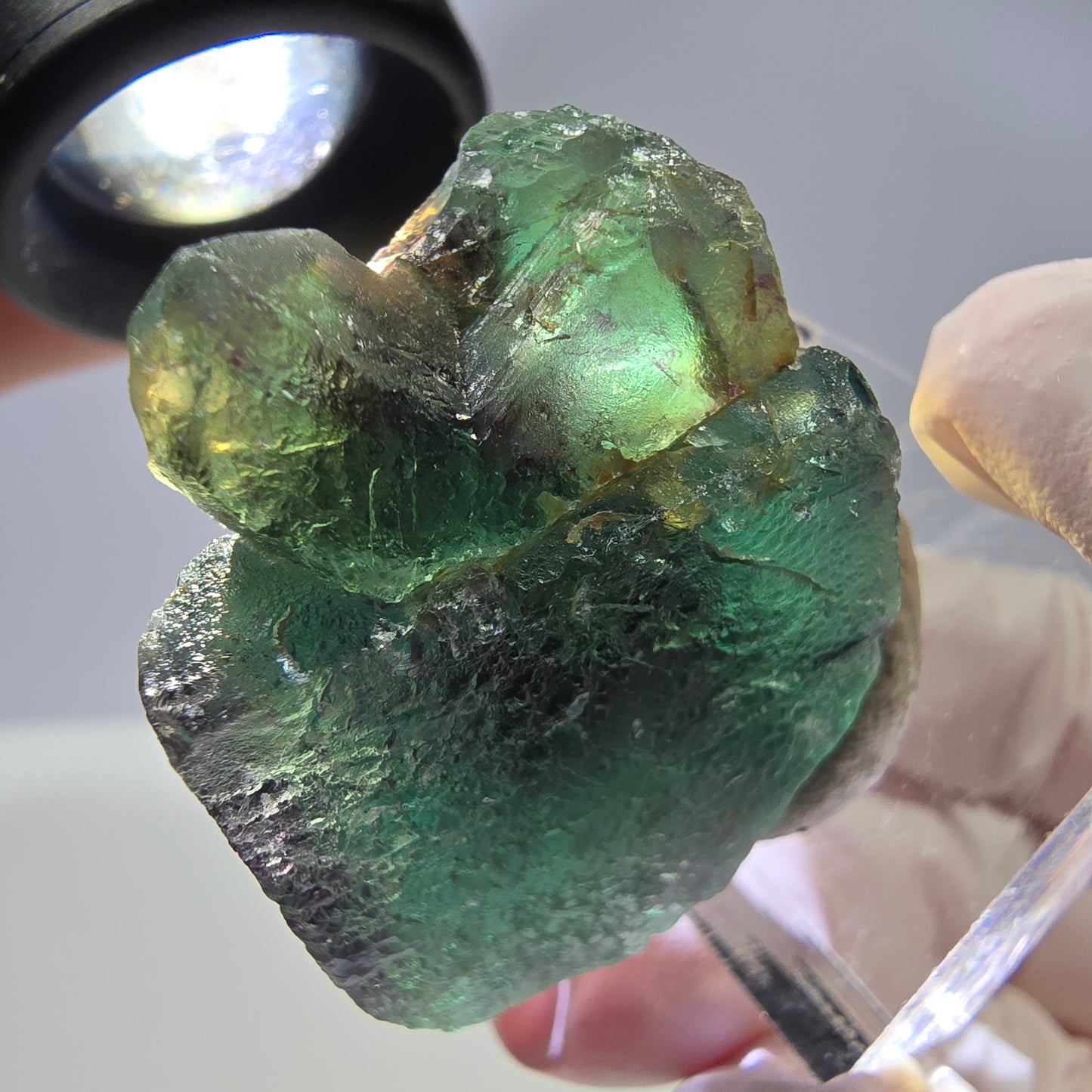 Rare cube de fluorite fantôme parqueté vert violet Okorusu Namibie 35*26*16mm