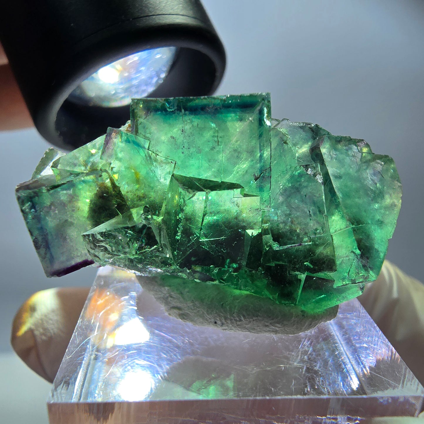 Rare spécimen de cube de fluorite, vert-violet, Okorusu, Namibie, 37 x 21 x 18 mm