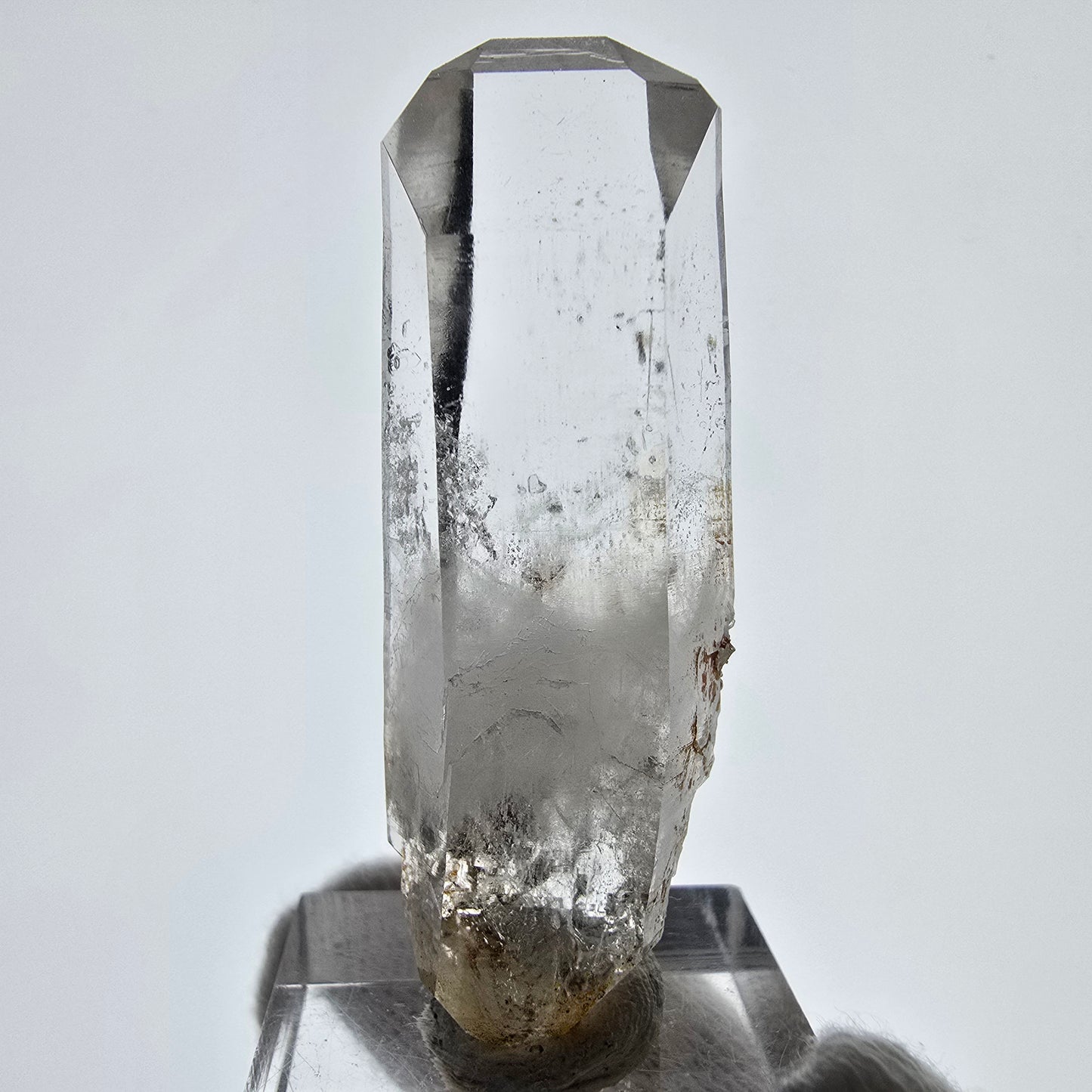 Sceptre de poche Saint-Valentin en quartz fumé fantôme squelette, Namibie 54 x 18 x 13 mm