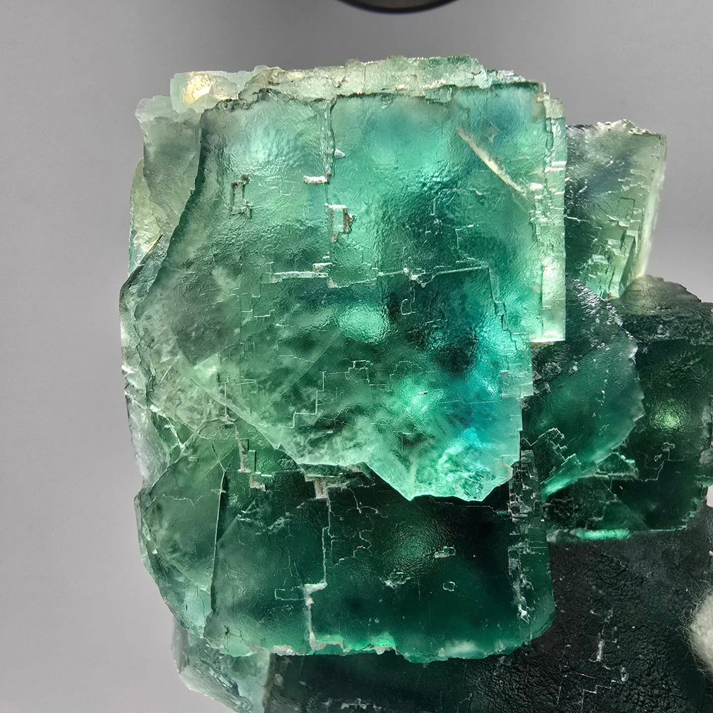 Große Phantom Fluorit Würfel Stufe grün parkettiert Okorusu, Namibia 81*68*35mm