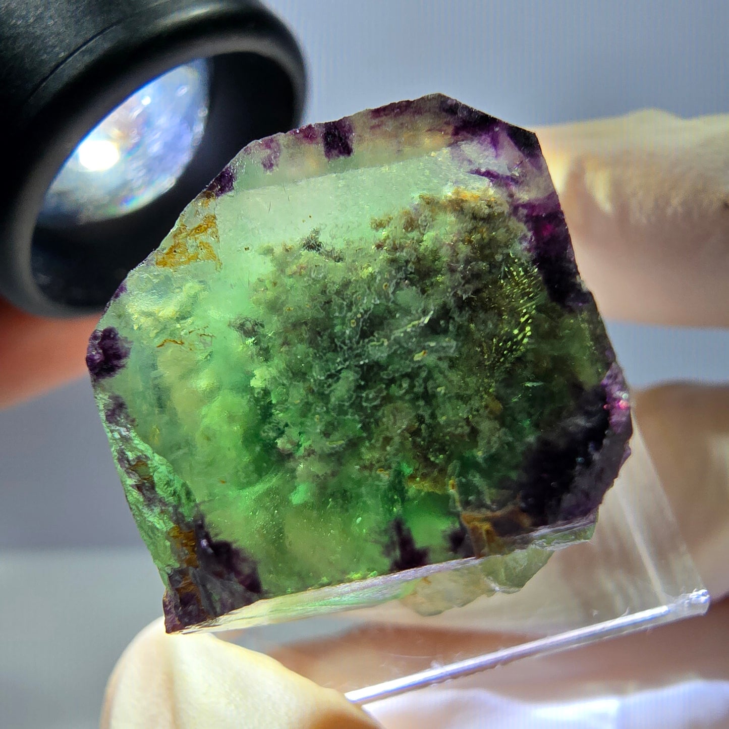 Cube de fluorite fantôme parqueté, zonal, vert violet Okorusu, Namibie 22*21*19mm