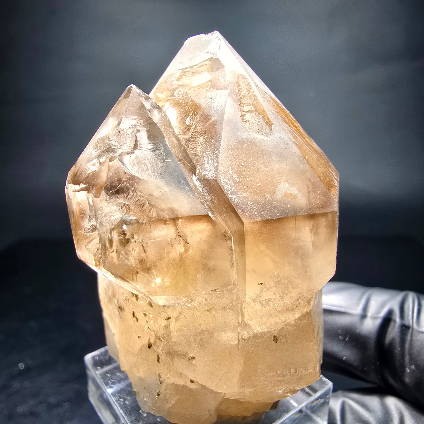 Klare Phantom Rauchquarz Zepter Spitze Erongo, Namibia 51*44*33mm Sammlung