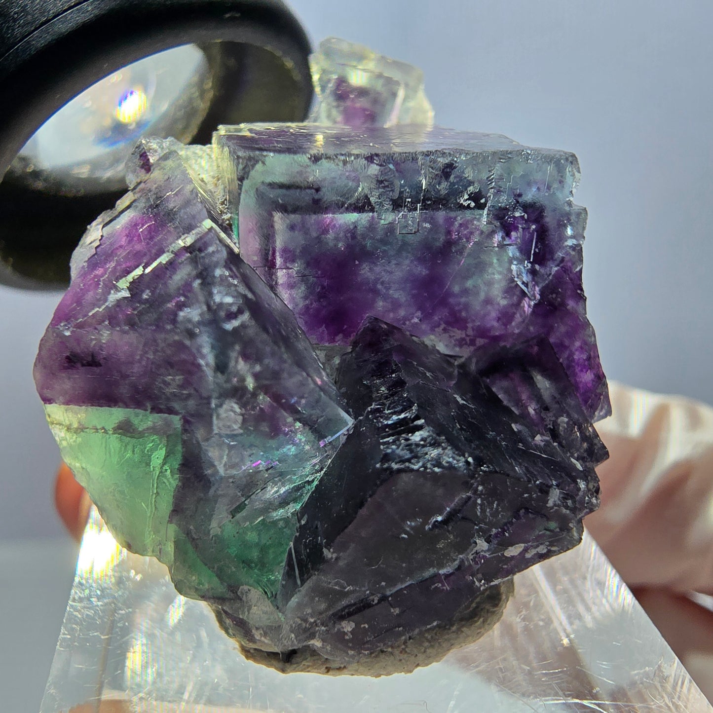 Spécimen de cube de fluorite fantôme, parqueté vert violet Okorusu, Namibie 32*28*17 mm
