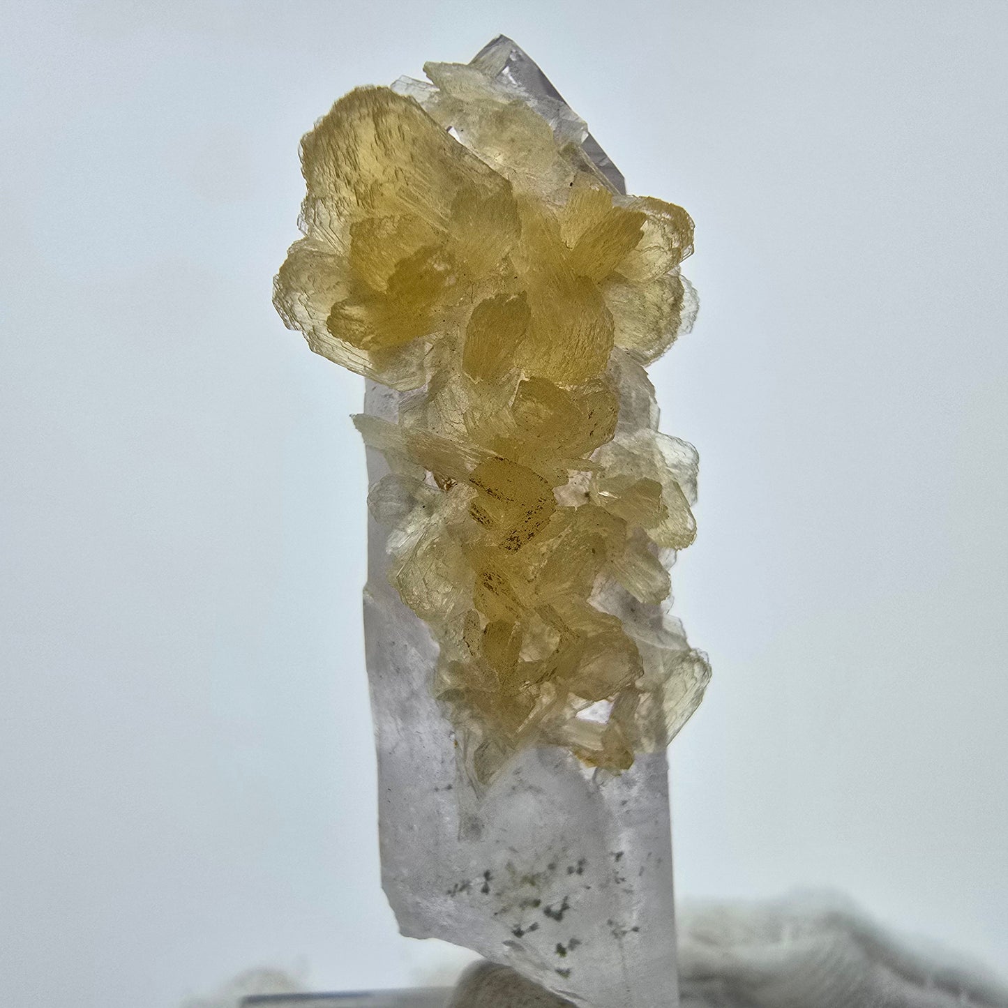 Phantom Amethyst Kristall mit Stilbit Goboboseb, Namibia 48*17*14mm Sammlung