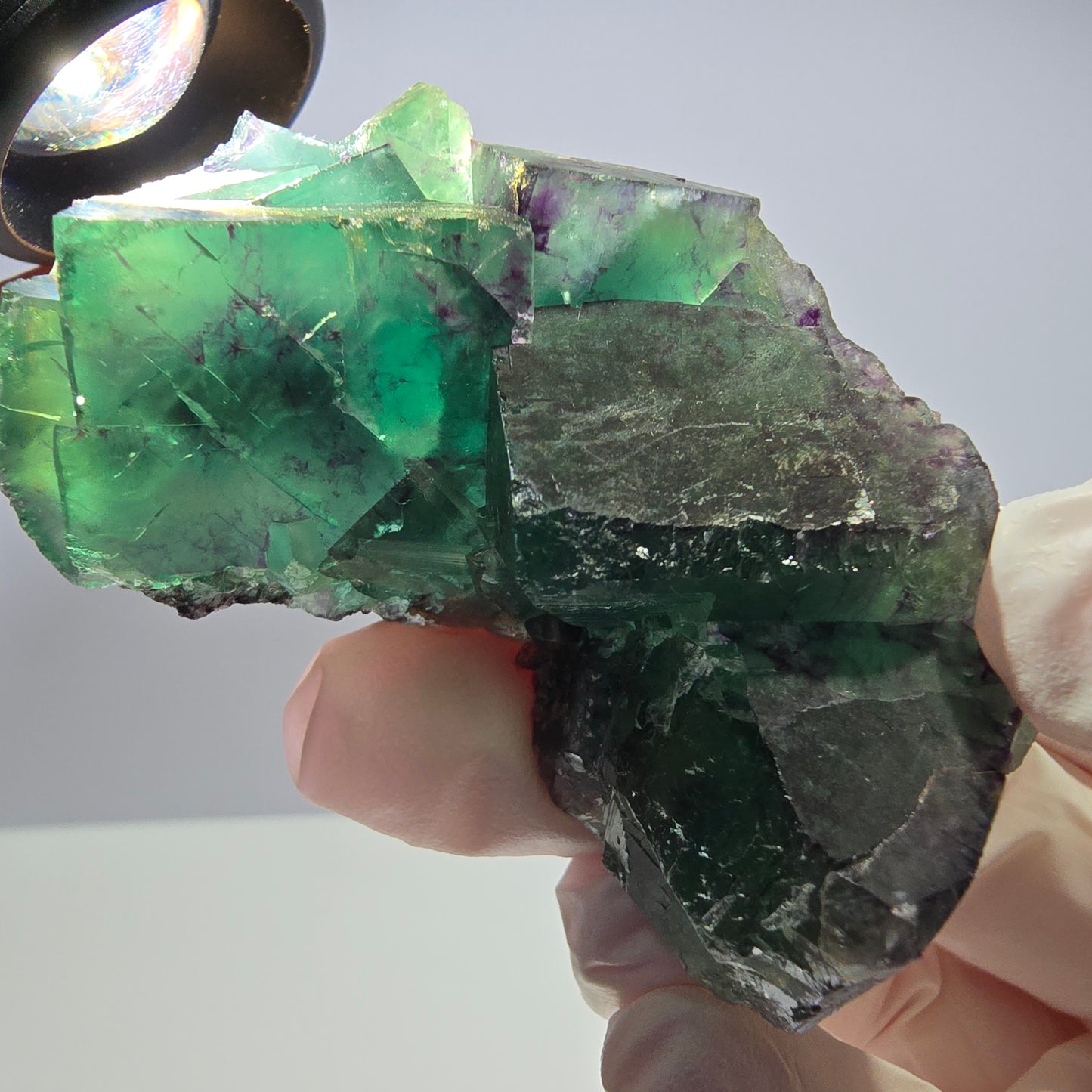 Spécimen de cube de fluorite fantôme parqueté vert violet Okorusu, Namibie 66*42*22mm