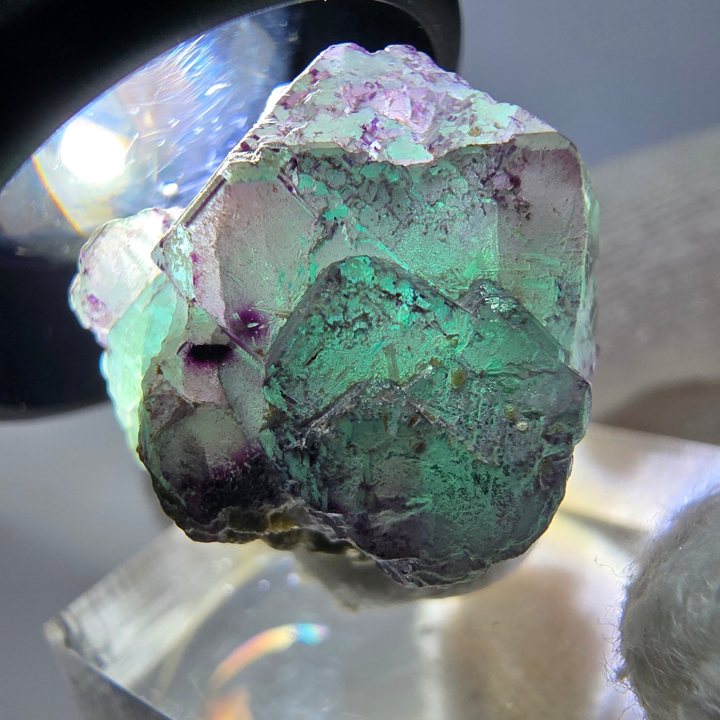 Cube de fluorite fantôme zonal, spécimen de muscovite, Erongo, Namibie, 24 x 20 x 19 mm