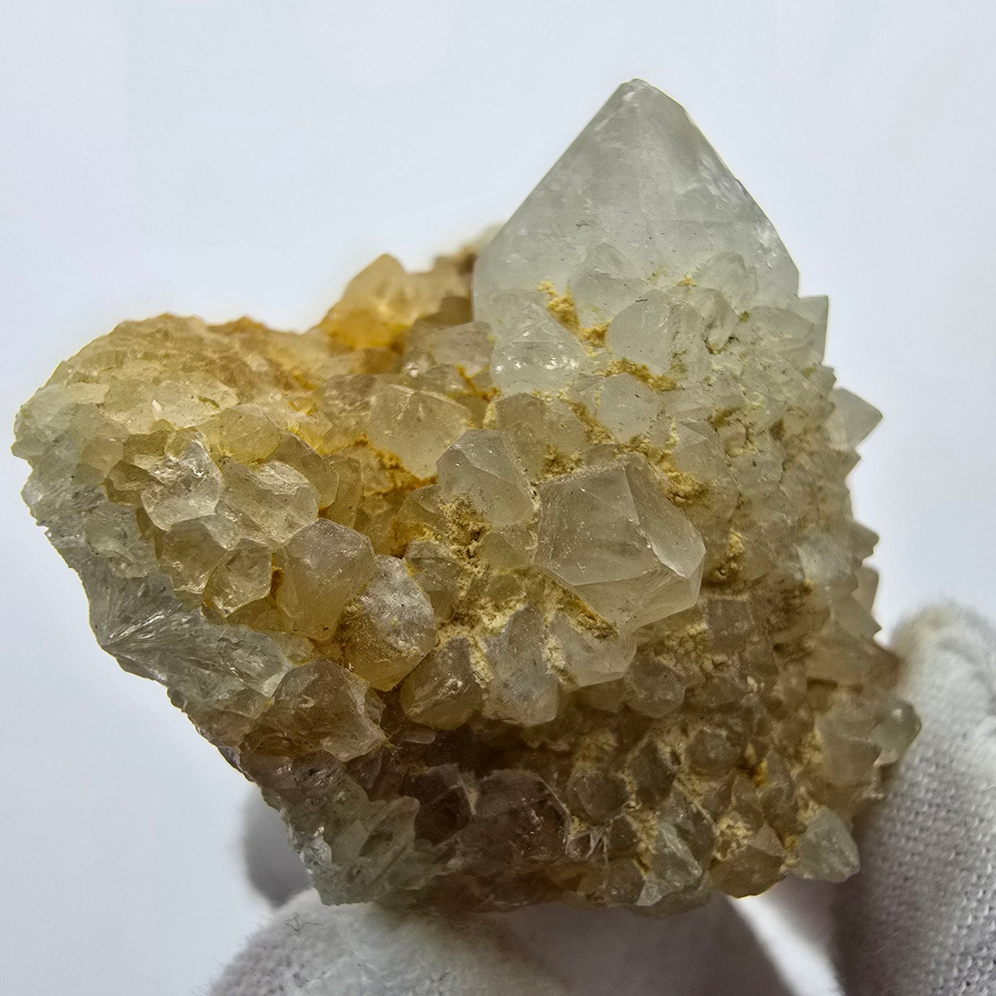 Kaktusquarz, Spirit Quarz XX Stufe Boekenhouthoek, Südafrika 55*43*27mm Sammlung