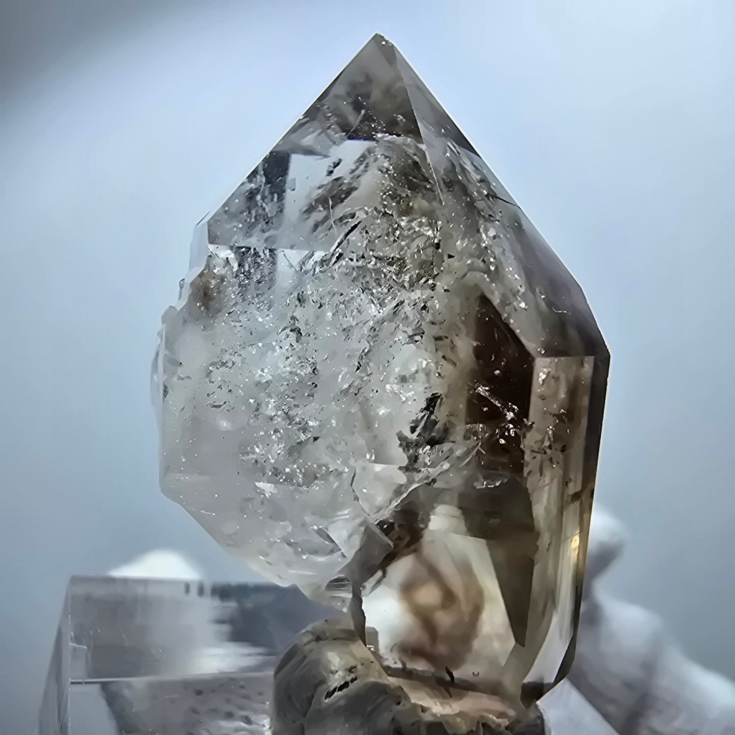 Sceptre Enhydro Phantom Smoky Quartz DT, 1x Bubble Goboboseb, Namibie 36*21*17mm