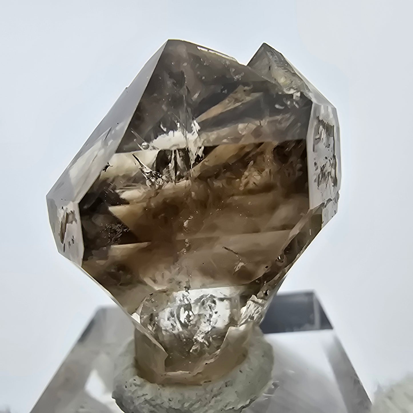 Enhydro Phantom Rauchquarz Zepter, 1x Blase Goboboseb, Namibia 30*26*17mm