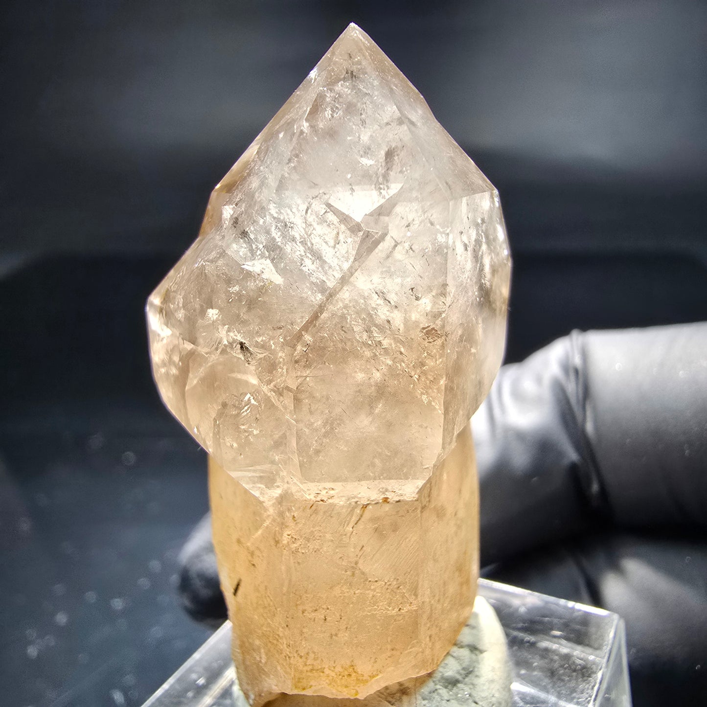 Schöne Phantom Rauchquarz Zepter Spitze Erongo, Namibia 43*23*20mm Sammlung