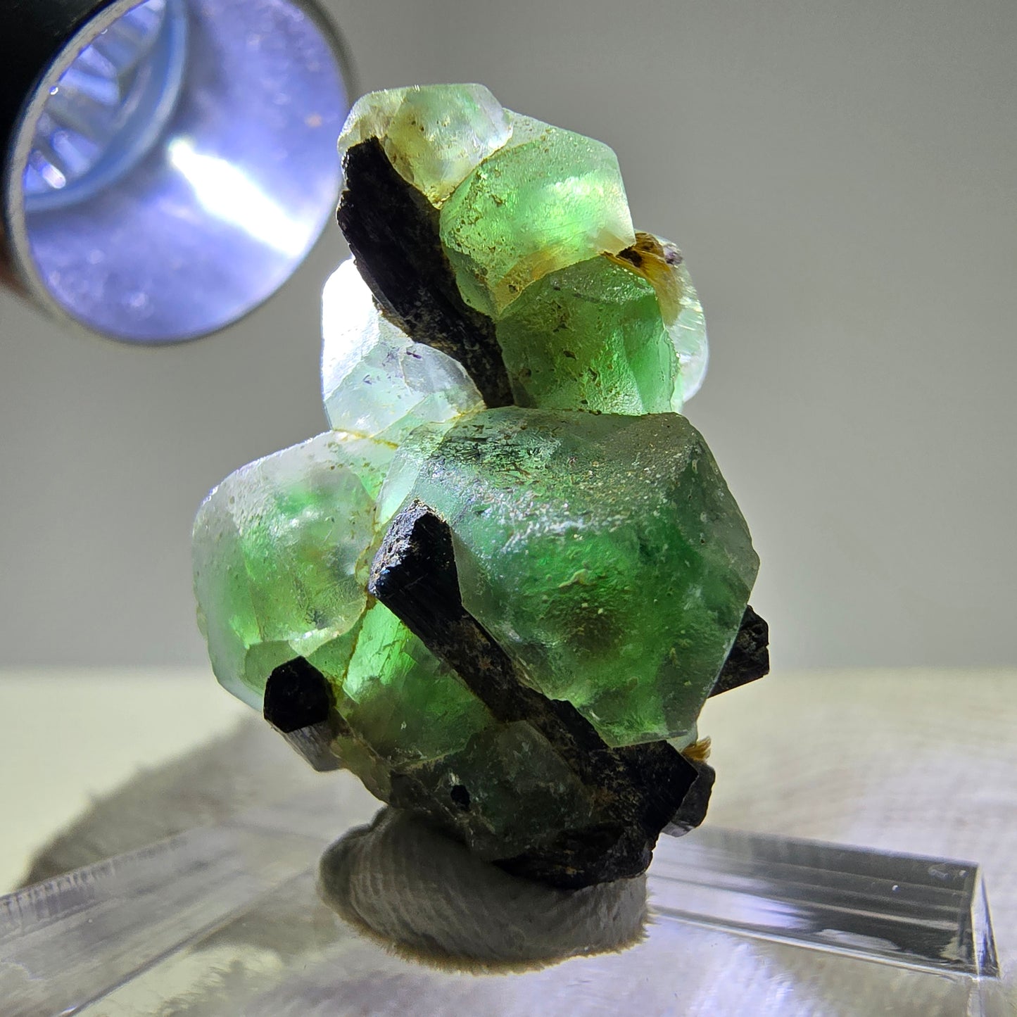 Spécimen de tourmaline Schorl hexagonale en cube de fluorite fantôme, Erongo, Namibie, 26 x 19 x 12 mm