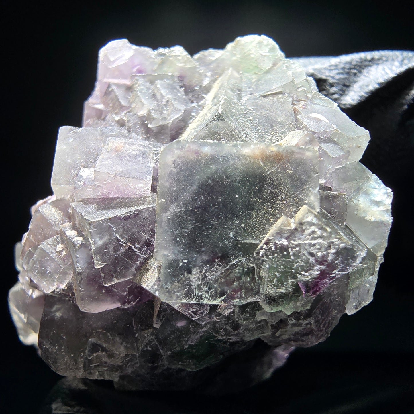 Phantom Fluorite Cube Tier Vert Violet Blanc Okorusu, Namibie 52*33*27mm Collection