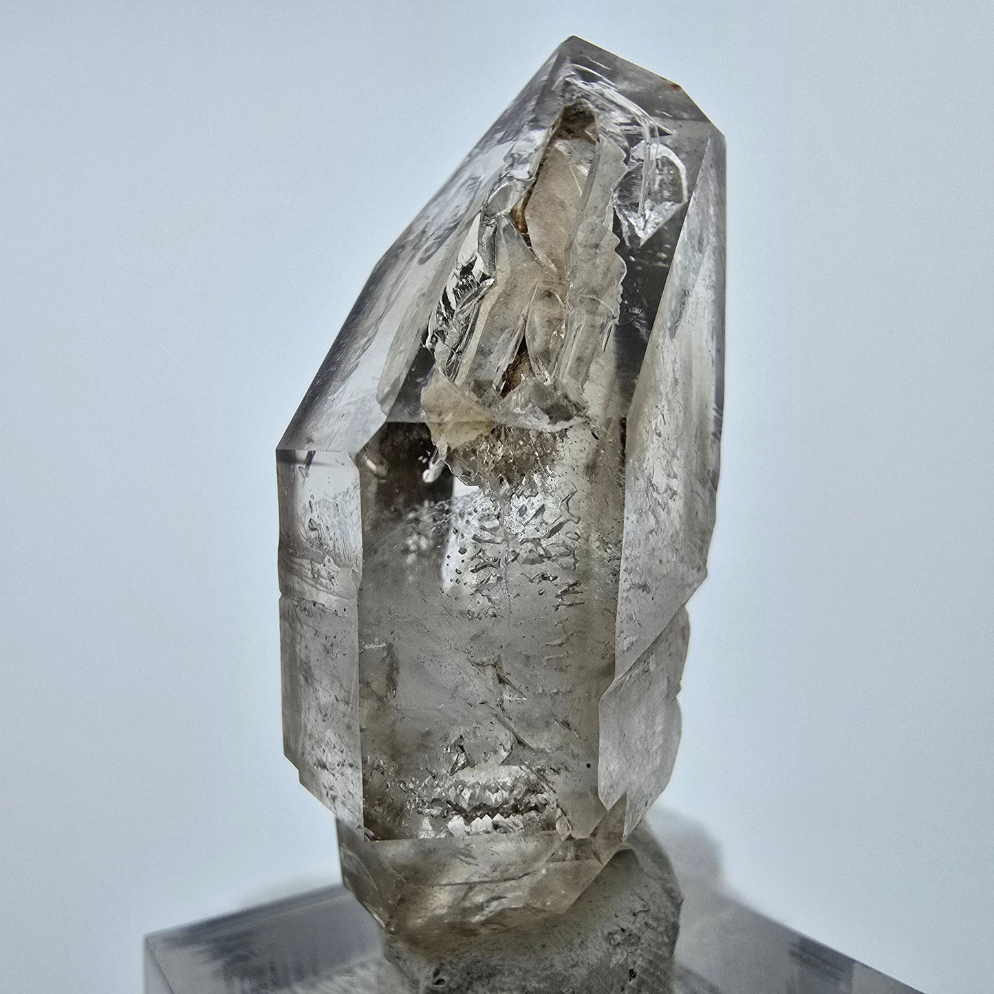 Enhydro Phantom Rauchquarz DT Zepter, 2x Blase Goboboseb, Namibia 47*23*15mm