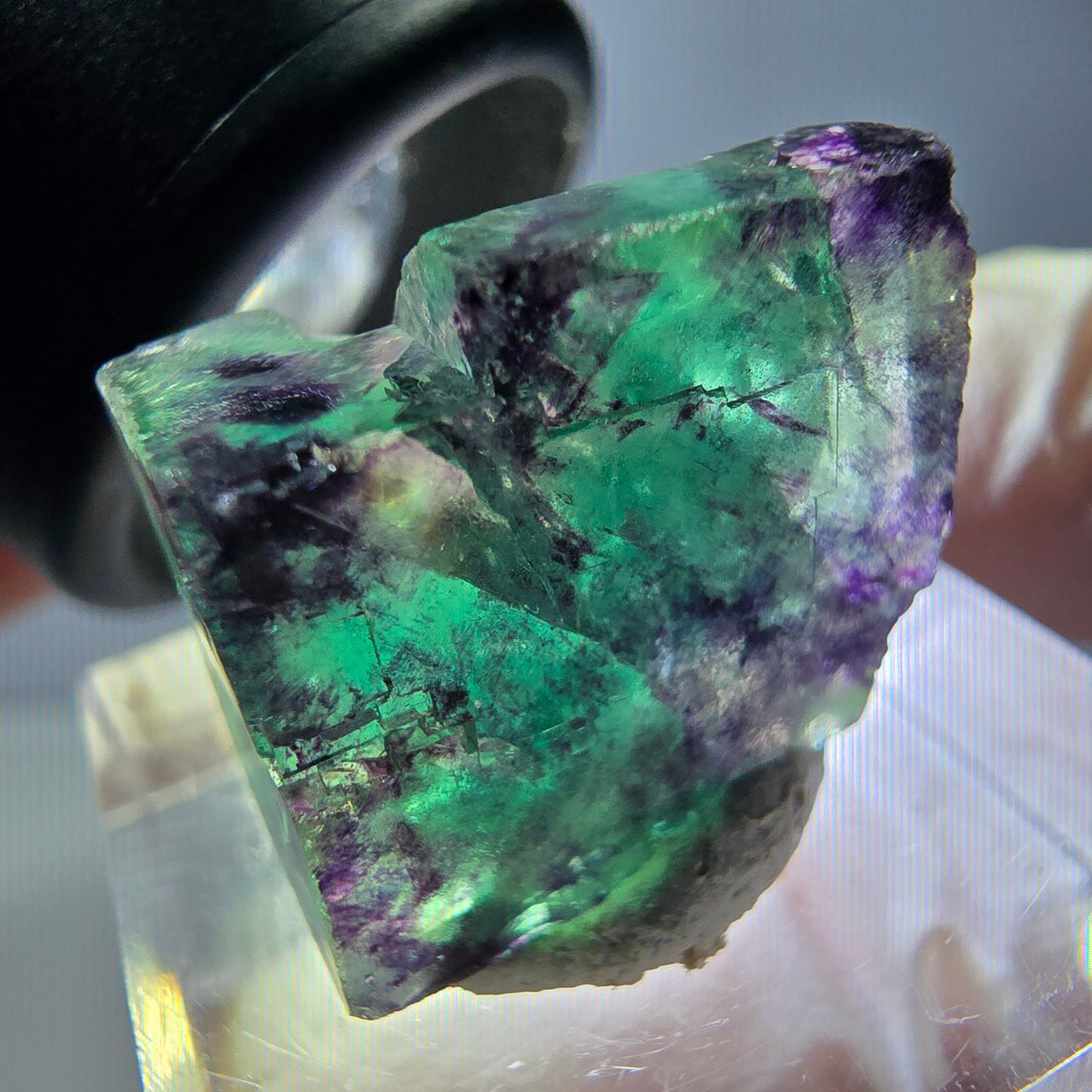 Phantom Fluorit Würfel parkettiert, grün lila Okorusu, Namibia 19*16*11mm