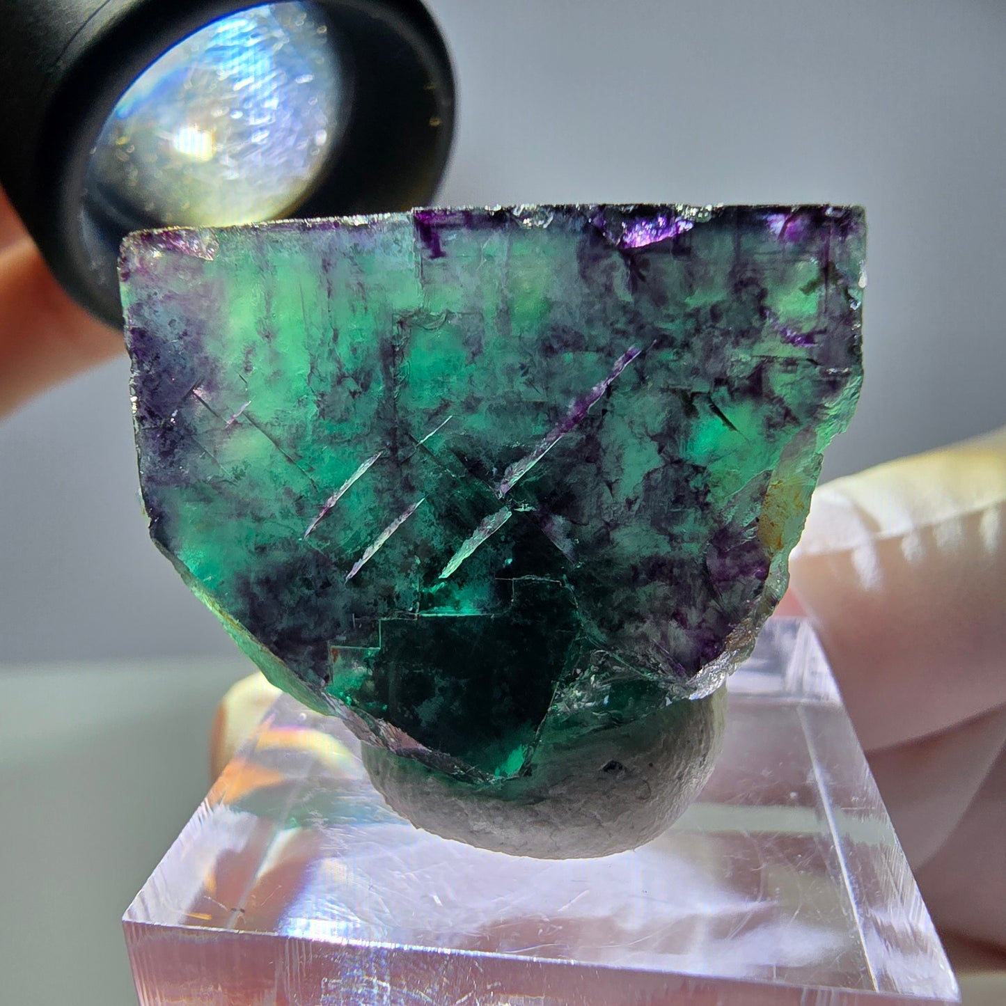 Rare cube de fluorite fantôme parqueté vert violet Okorusu Namibie 32*23*19mm