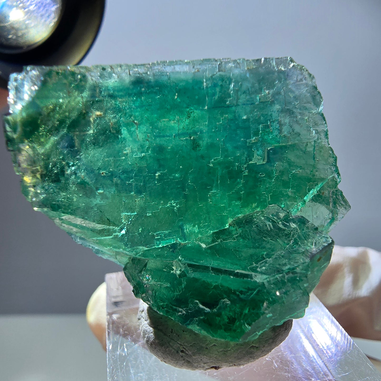 Spécimen de cube de fluorite fantôme, parquet vert Okorusu, Namibie 35 x 30 x 21 mm