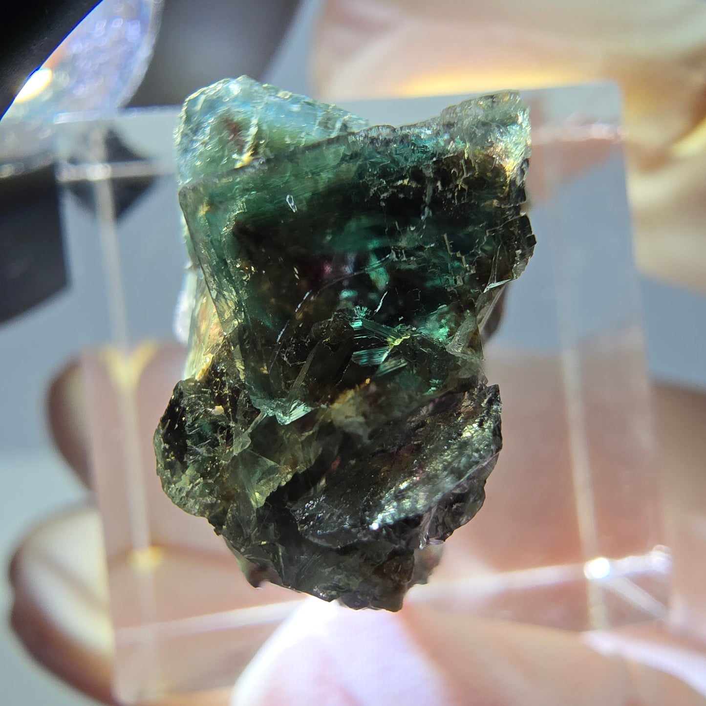 Phantom Fluorit Würfel Stufe, grün parkettiert Okorusu, Namibia 21*16*13mm