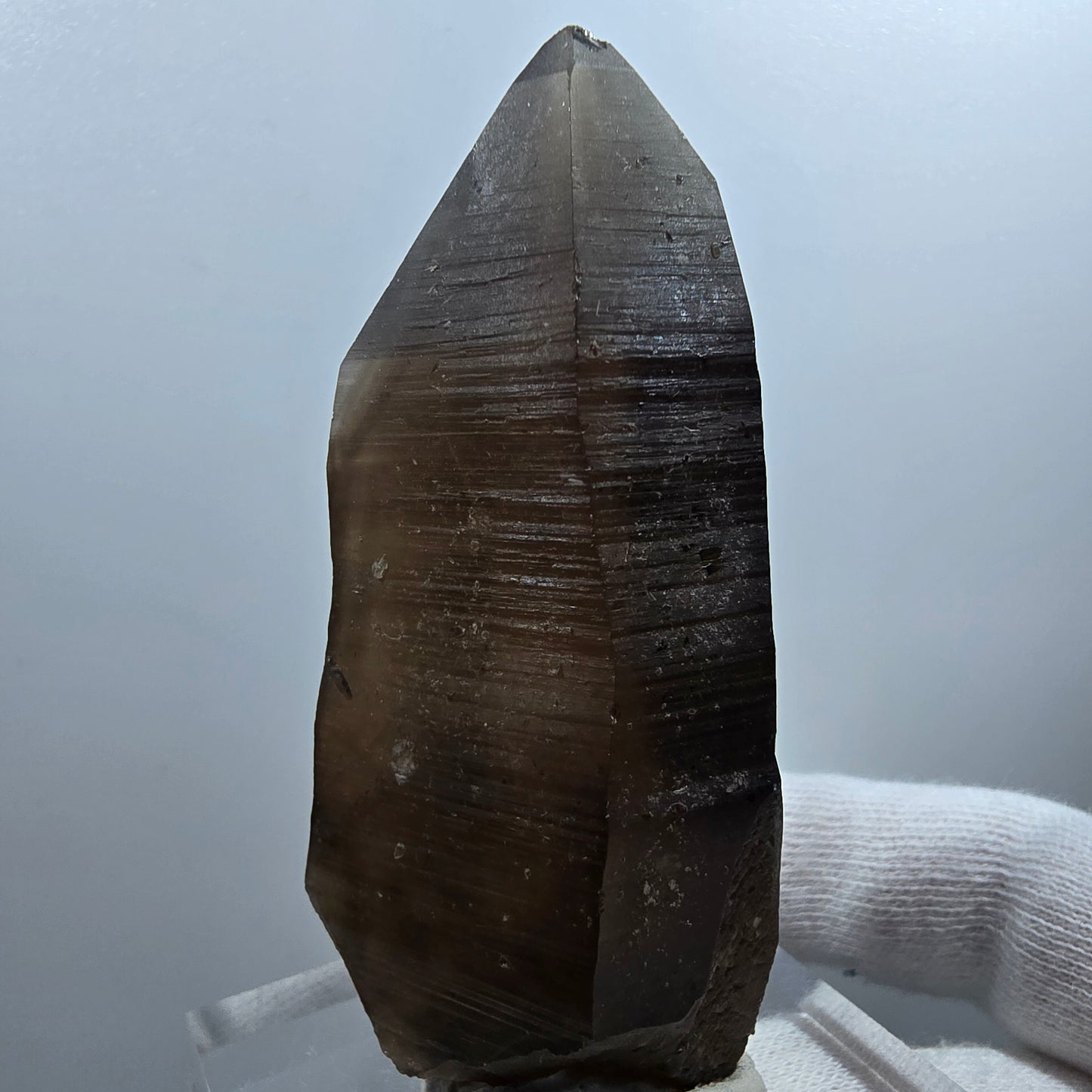 Sceptre de poche en quartz fumé fantôme lémurien Valentine Goboboseb Namibie 72 x 35 x 29 mm