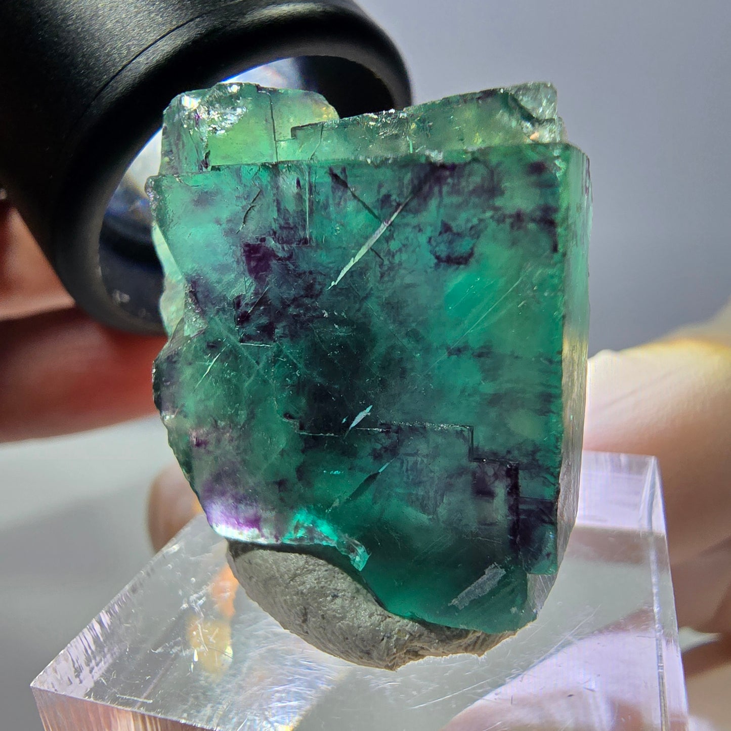 Phantom Fluorit Würfel Stufe, parkettiert grün lila Okorusu, Namibia 26*25*16mm