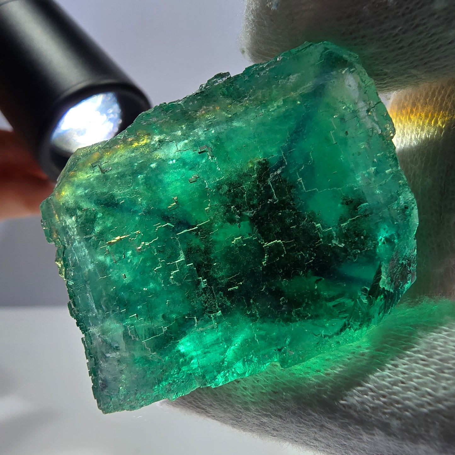 Rare spécimen de cube de fluorite fantôme, parqueté vert Okorusu, Namibie, 39 x 36 x 22 mm