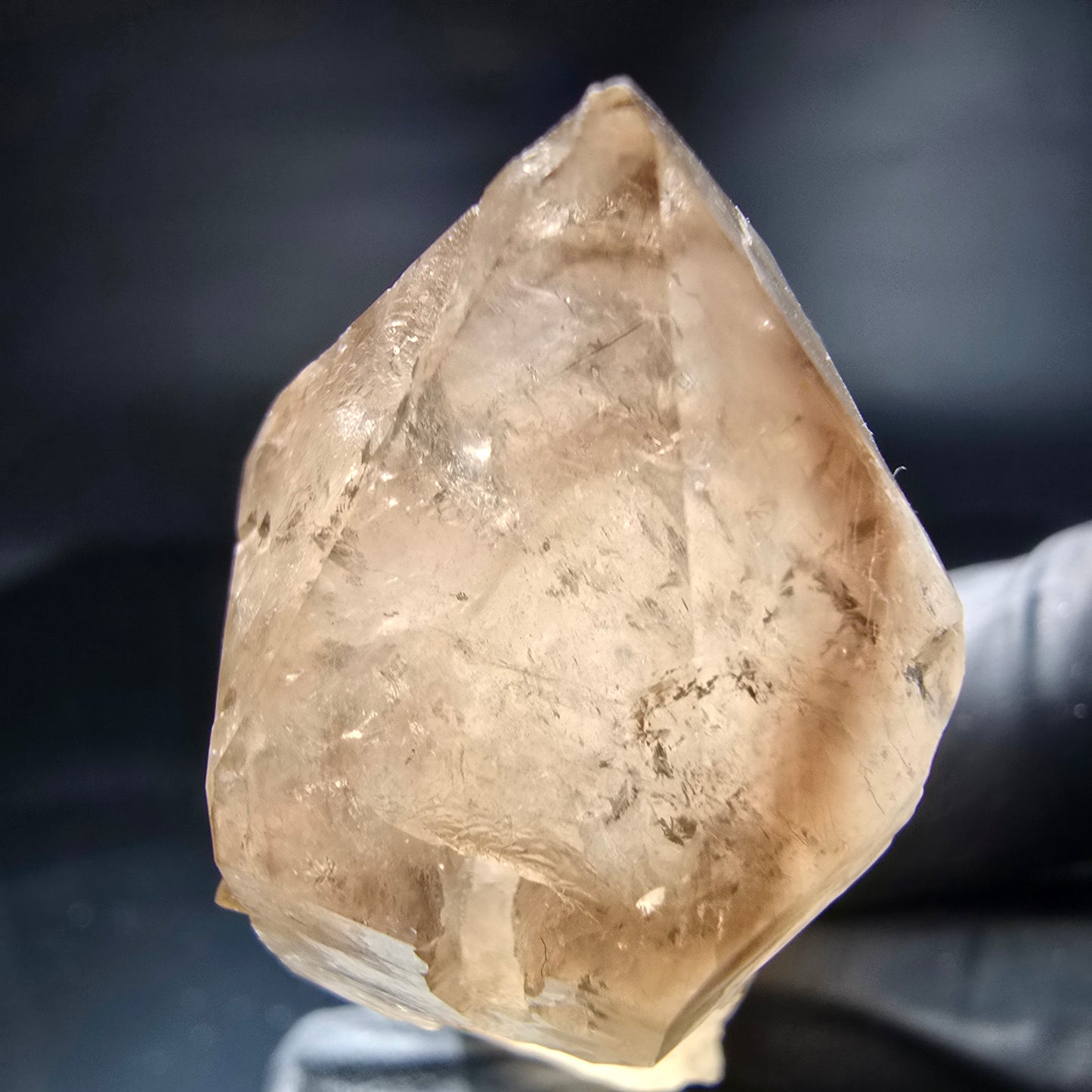 Schöne Phantom Rauchquarz Zepter Spitze Erongo, Namibia 69*25*20mm Sammlung