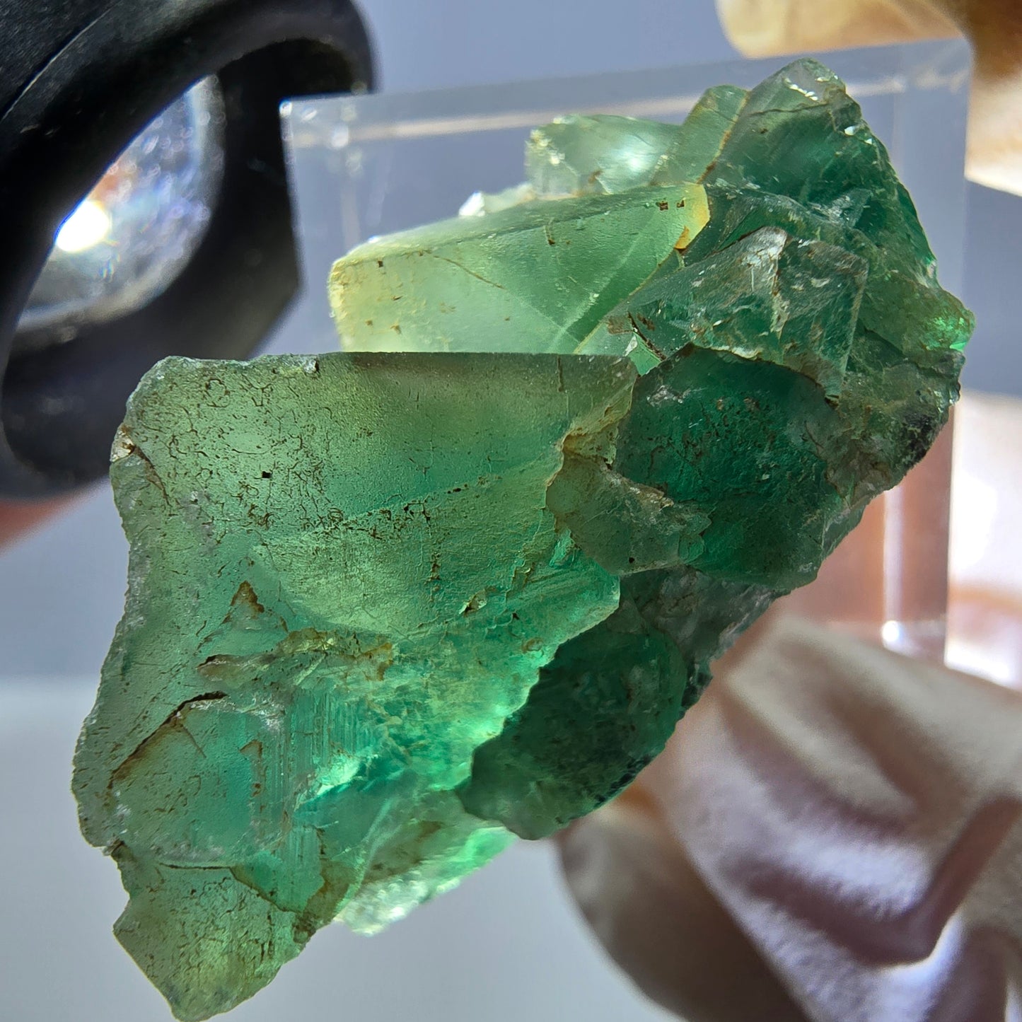 Spécimen de cube de fluorite fantôme, vert violet, Okorusu, Namibie, 35 x 19 x 19 mm