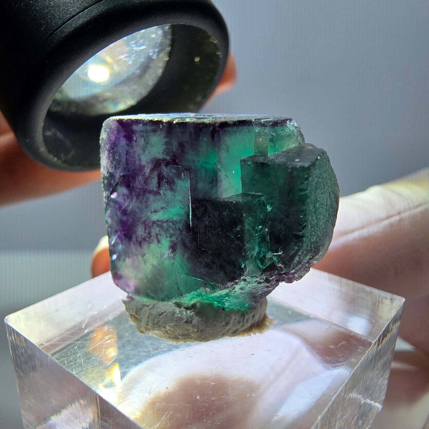 Phantom Fluorit Würfel Stufe, parkettiert grün lila Okorusu, Namibia 21*18*15mm