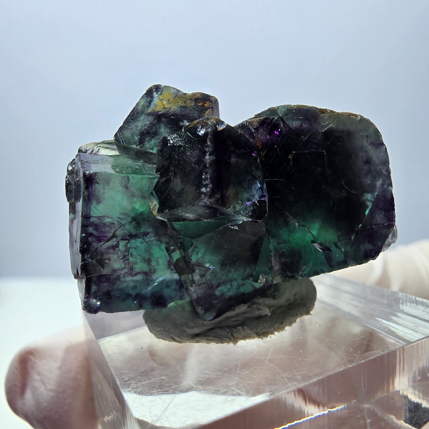 Seltene Fluorit Würfel Stufe, grün lila Okorusu, Namibia 29*22*19mm