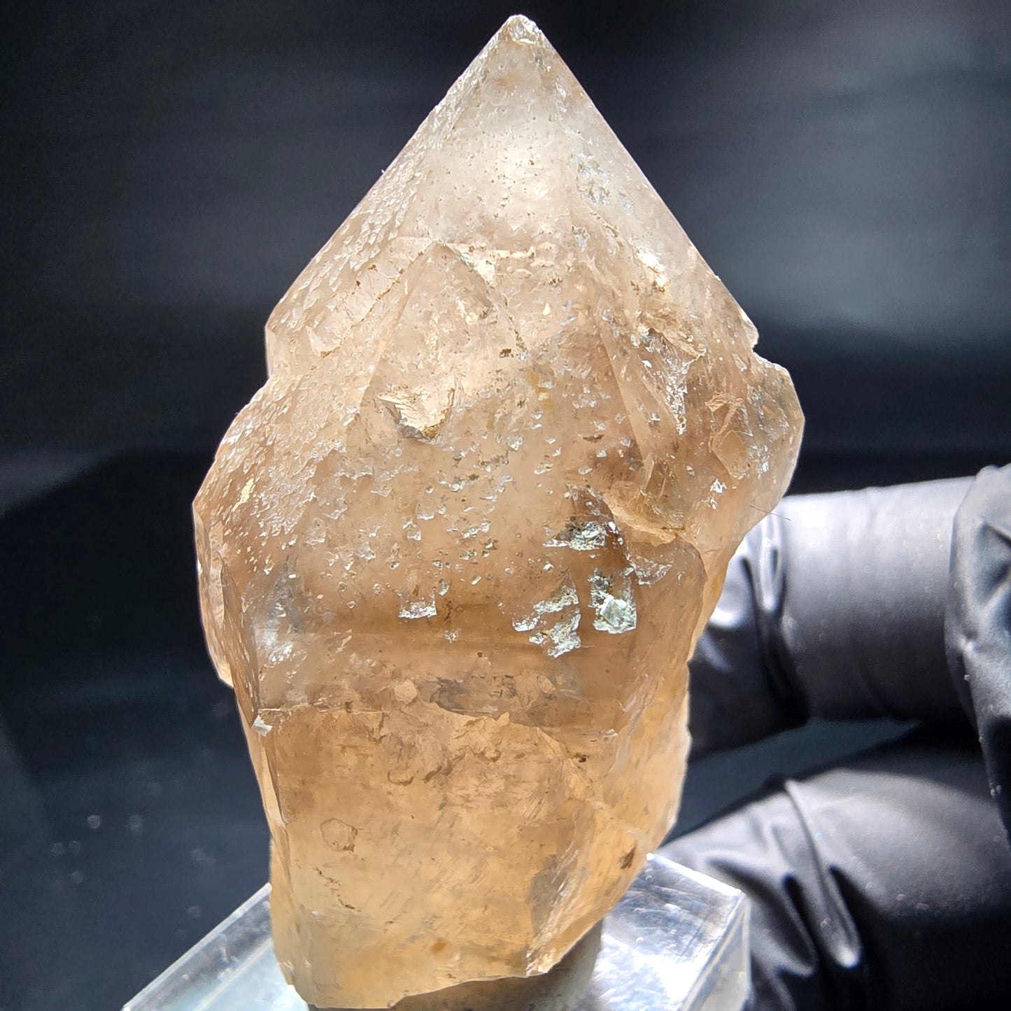 Schöne Phantom Rauchquarz Zepter Spitze Erongo, Namibia 53*34*25mm Sammlung