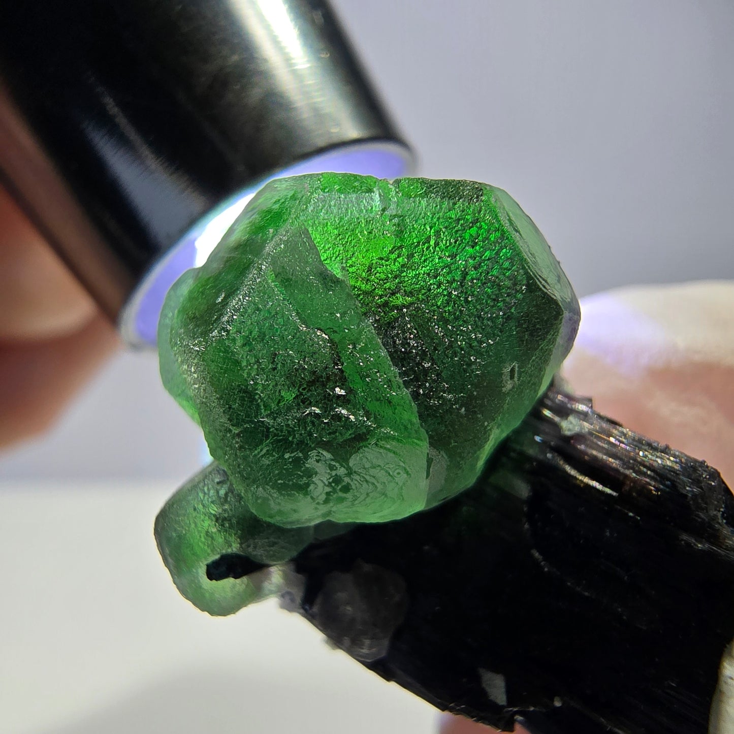 Cube de fluorite fantôme hexagonal, muscovite, tourmaline Schörl Erongo, Namibie 29*21*21mm