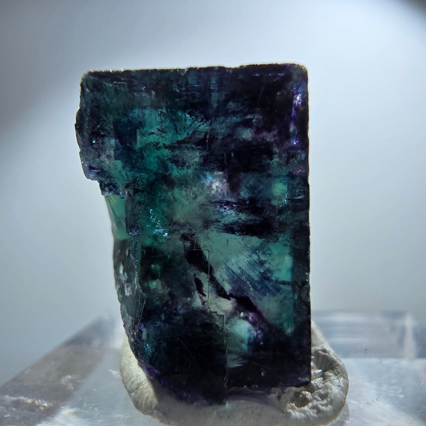 Spécimen rare de cube de fluorite fantôme, vert zonal et violet, Okorusu, Namibie, 23 x 18 x 14 mm