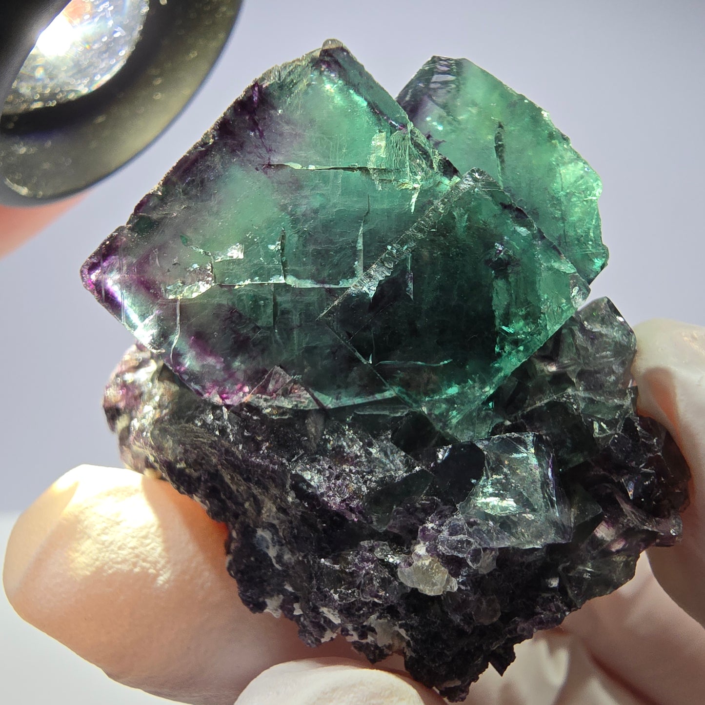 Spécimen de cube de fluorite fantôme parqueté vert violet Okorusu, Namibie 41*34*26mm