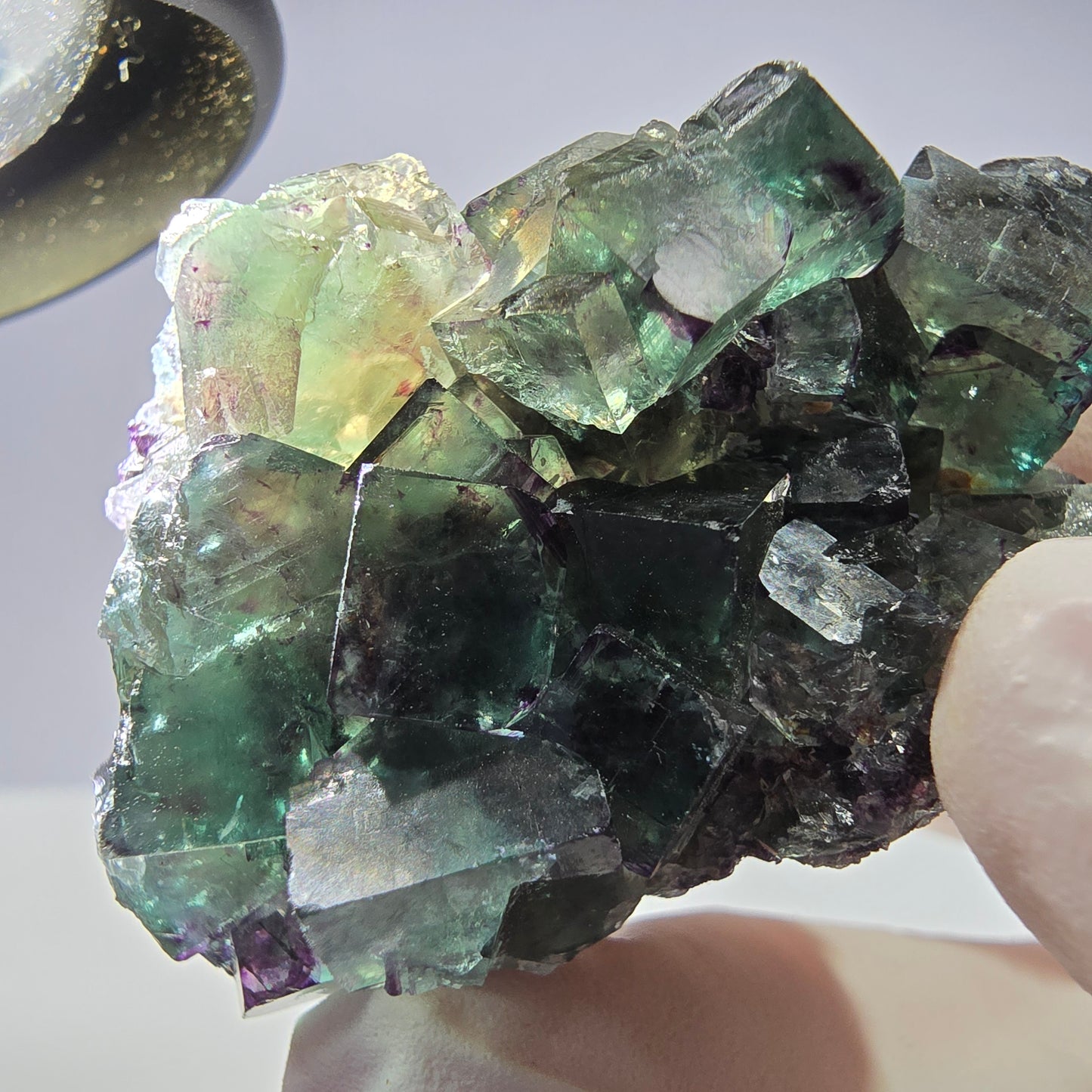 Spécimen de cube de fluorite fantôme parqueté vert violet Okorusu, Namibie 51*31*22mm
