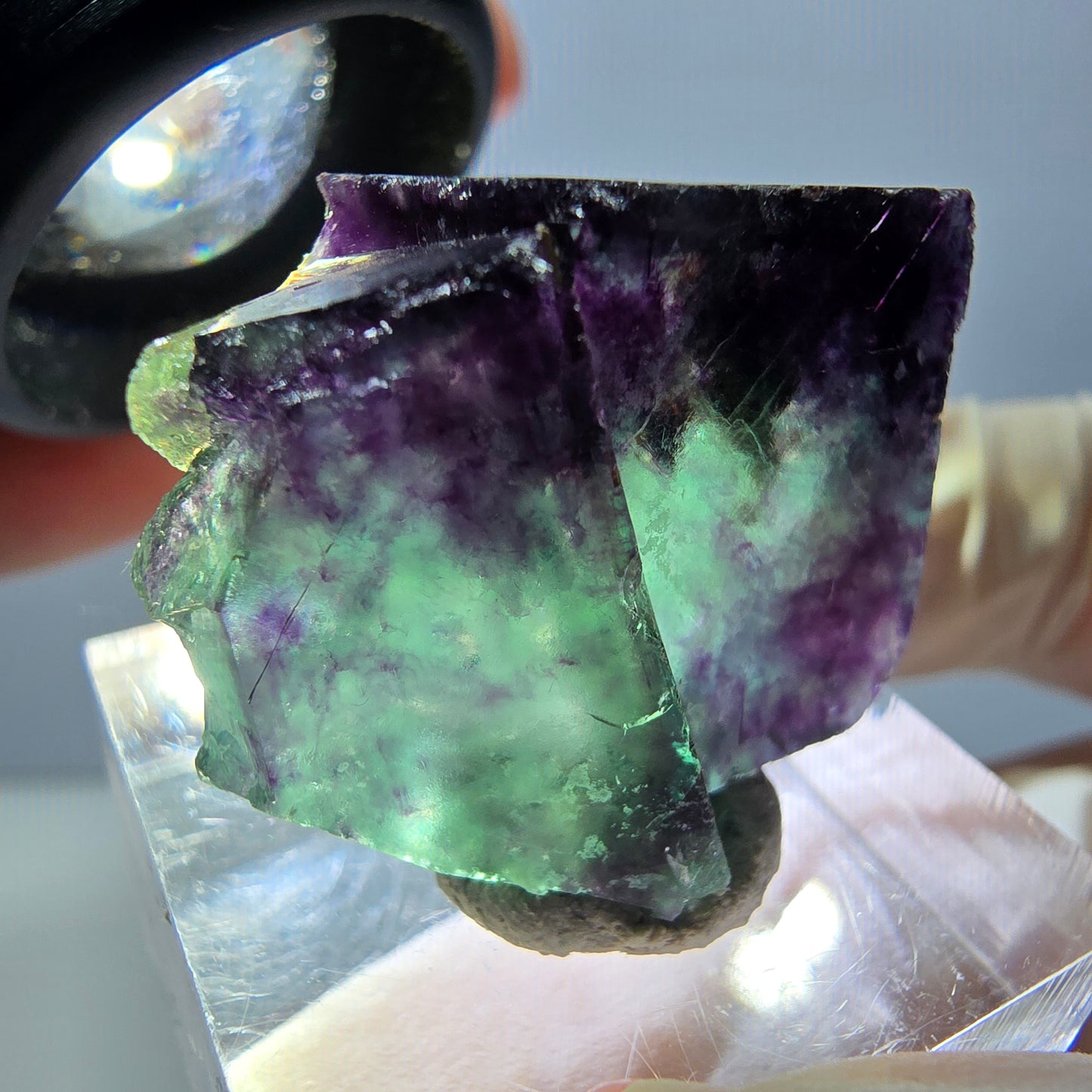 Spécimen de cube de fluorite fantôme, parqueté vert violet Okorusu, Namibie 26*22*13 mm