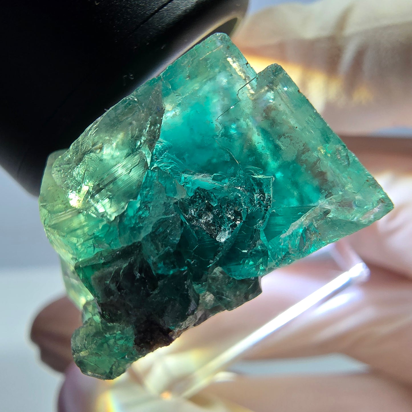 Spécimen de cube de fluorite fantôme, parquet vert Okorusu, Namibie 27 x 25 x 17 mm