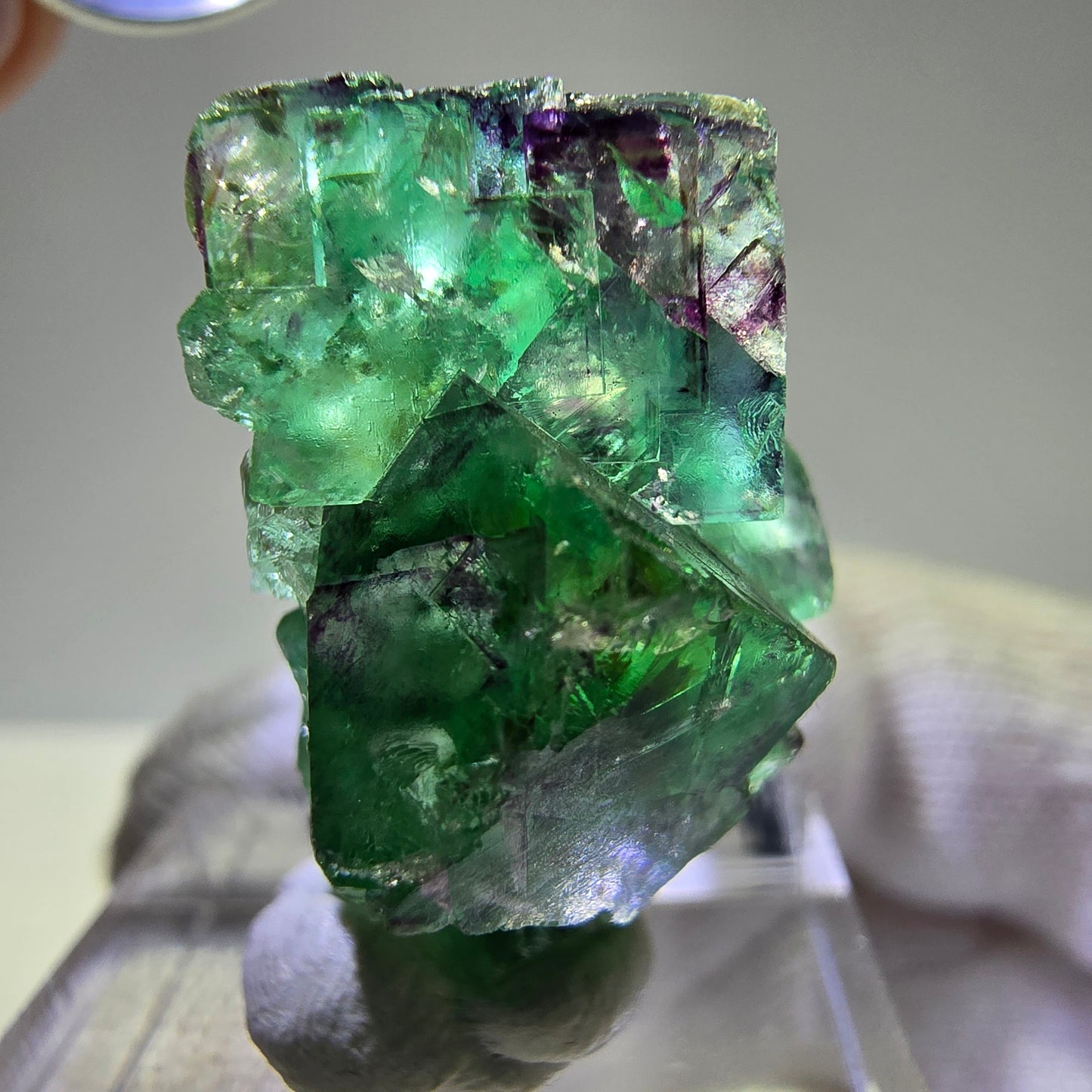 Morceaux de fluorite fantôme, vert violet zonal Okorusu, Namibie 28*24*15 mm
