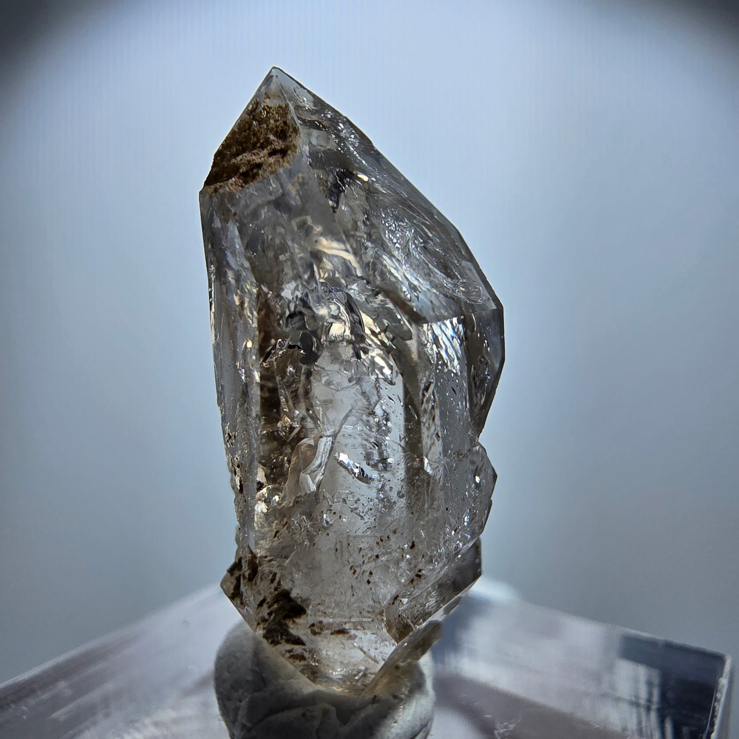 Enhydro Rauchquarz Skelett DT Zepter, 2x Blase Goboboseb, Namibia 26*13*11mm