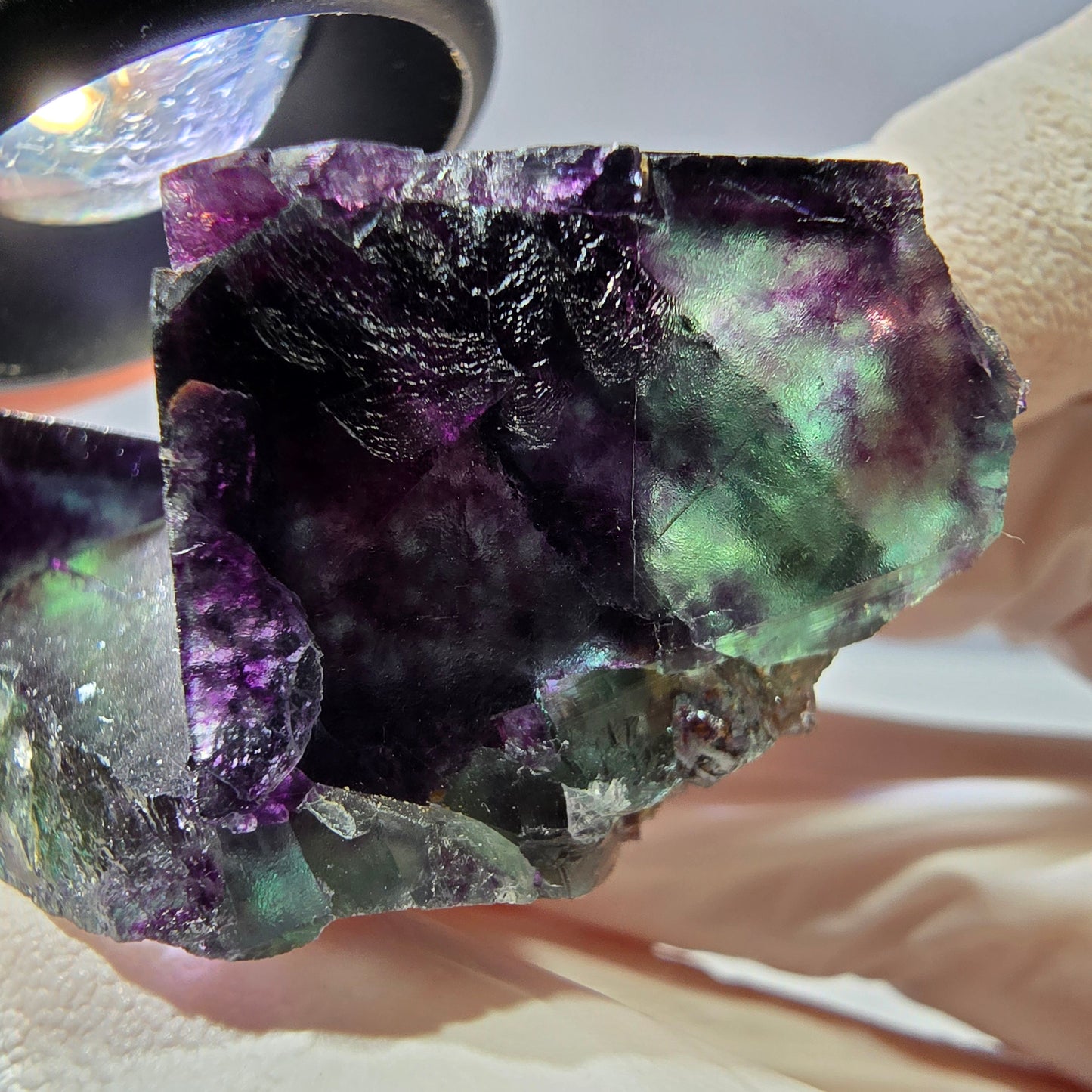 Spécimen de cube de fluorite fantôme, parqueté vert violet Okorusu, Namibie 46*34*25 mm