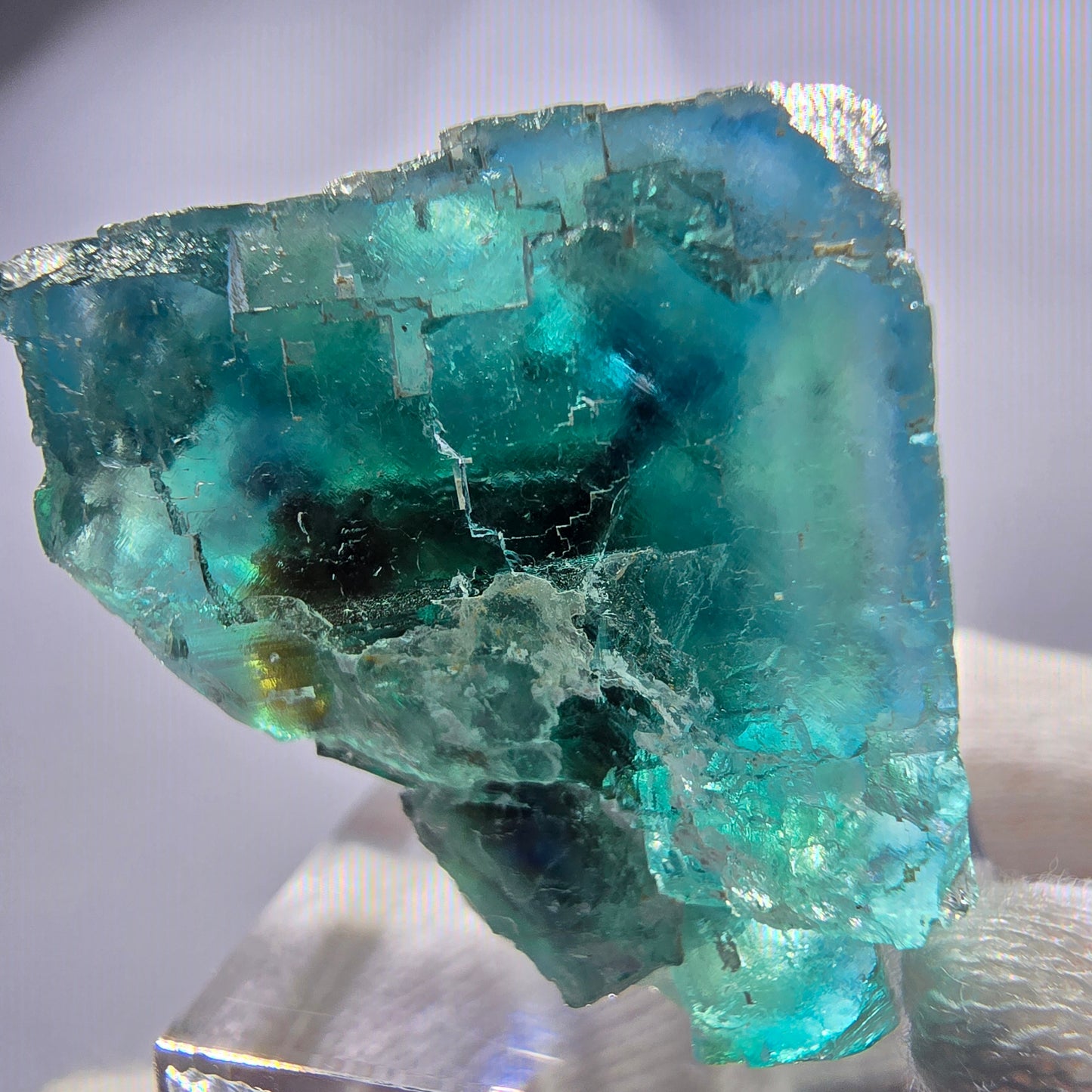 Phantom Fluorit Würfel, parkettiert grün braun Okorusu, Namibia 38*29*24mm