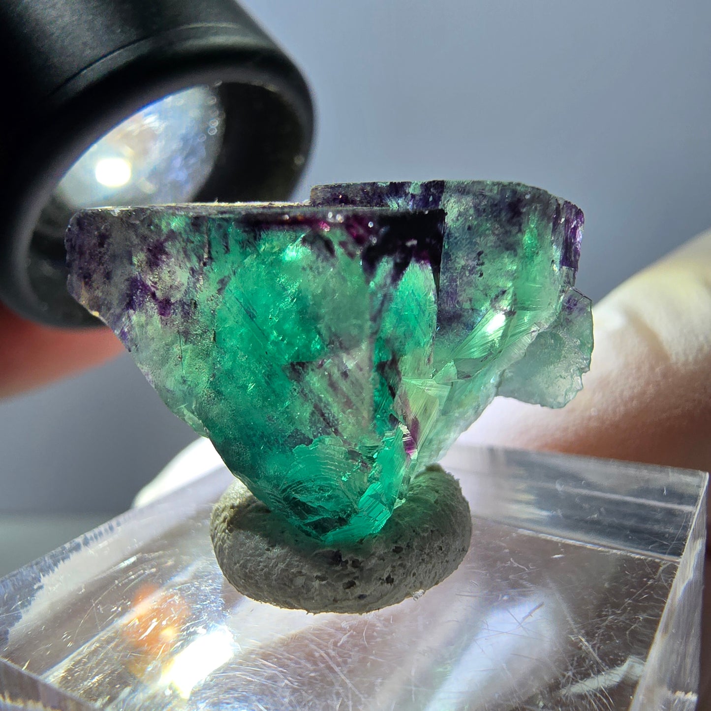 Spécimen de cube de fluorite fantôme, parqueté vert violet Okorusu, Namibie 25*18*14 mm